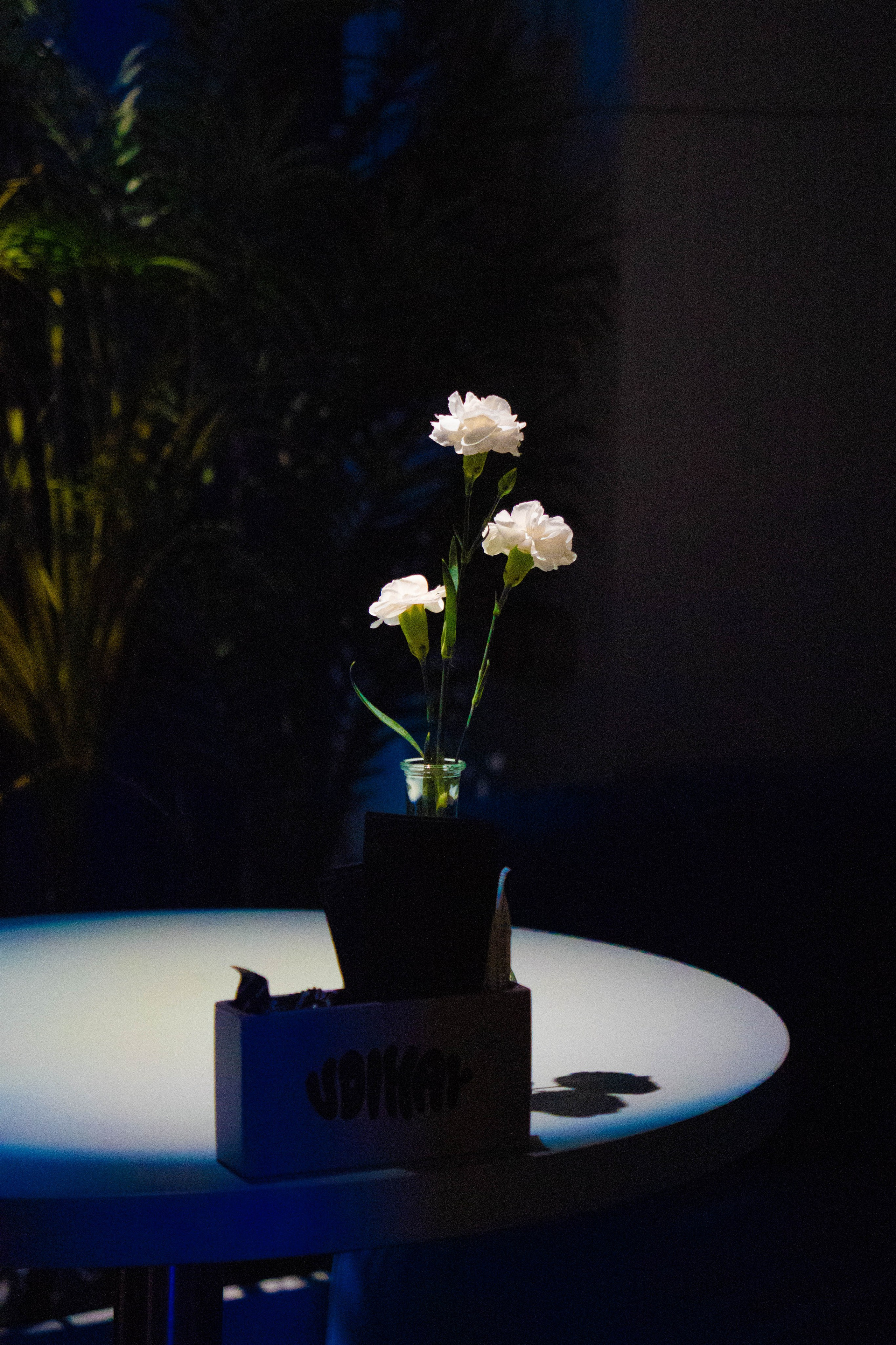 Предметная съемка. Oyallu.ru