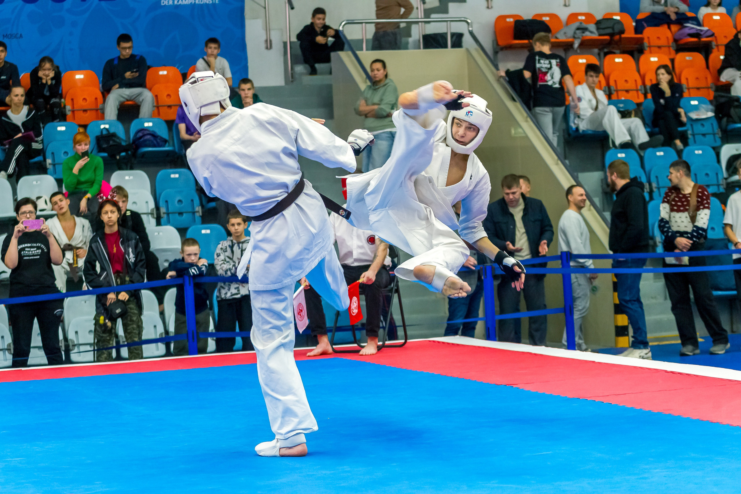 Соревнования по Киокушин памяти С. Увицкого. Репортажная съемка в Москве и области. Анималистика