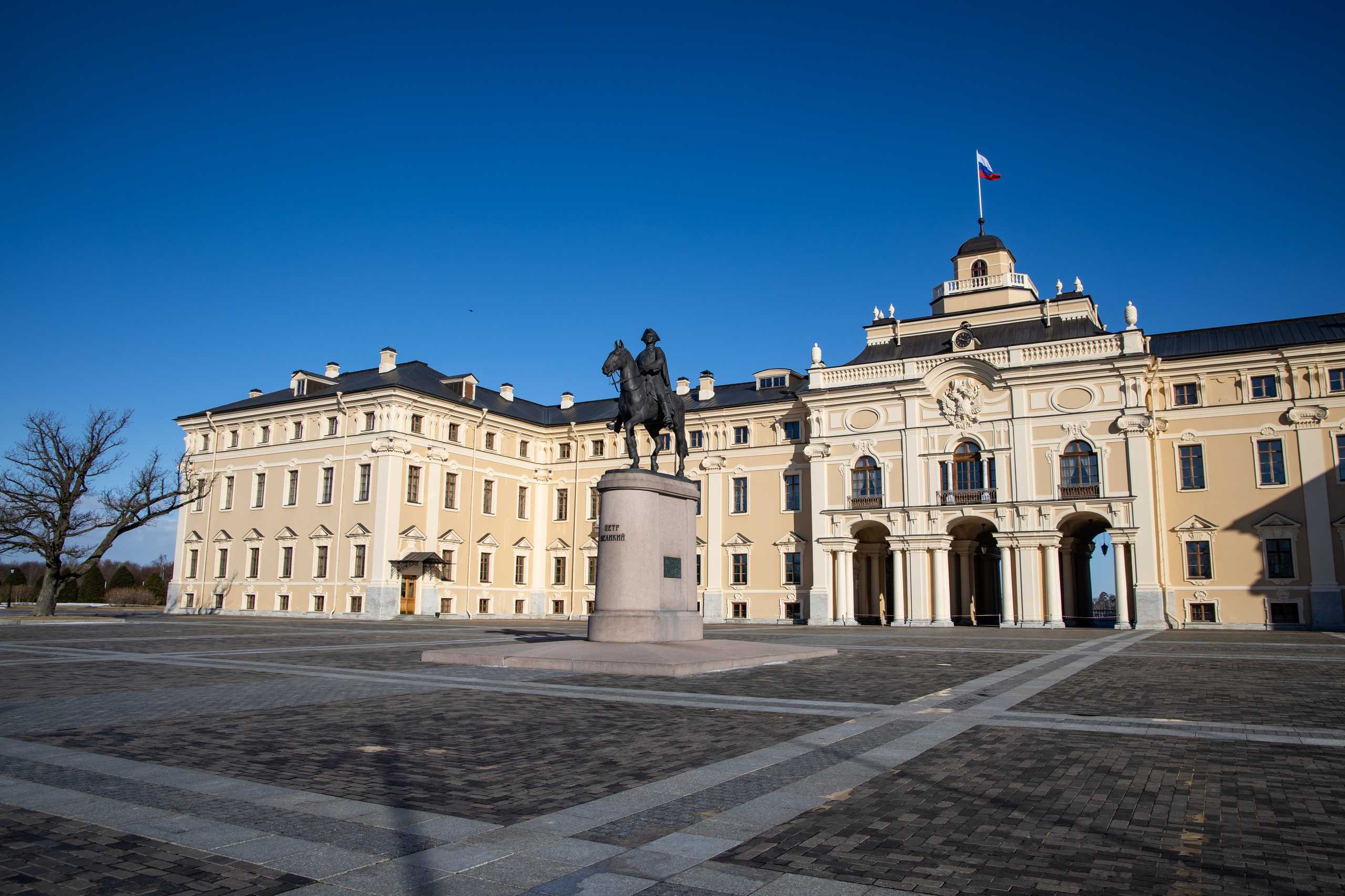 Репортажная съёмка. Профессиональный фотограф Светлана Протасова