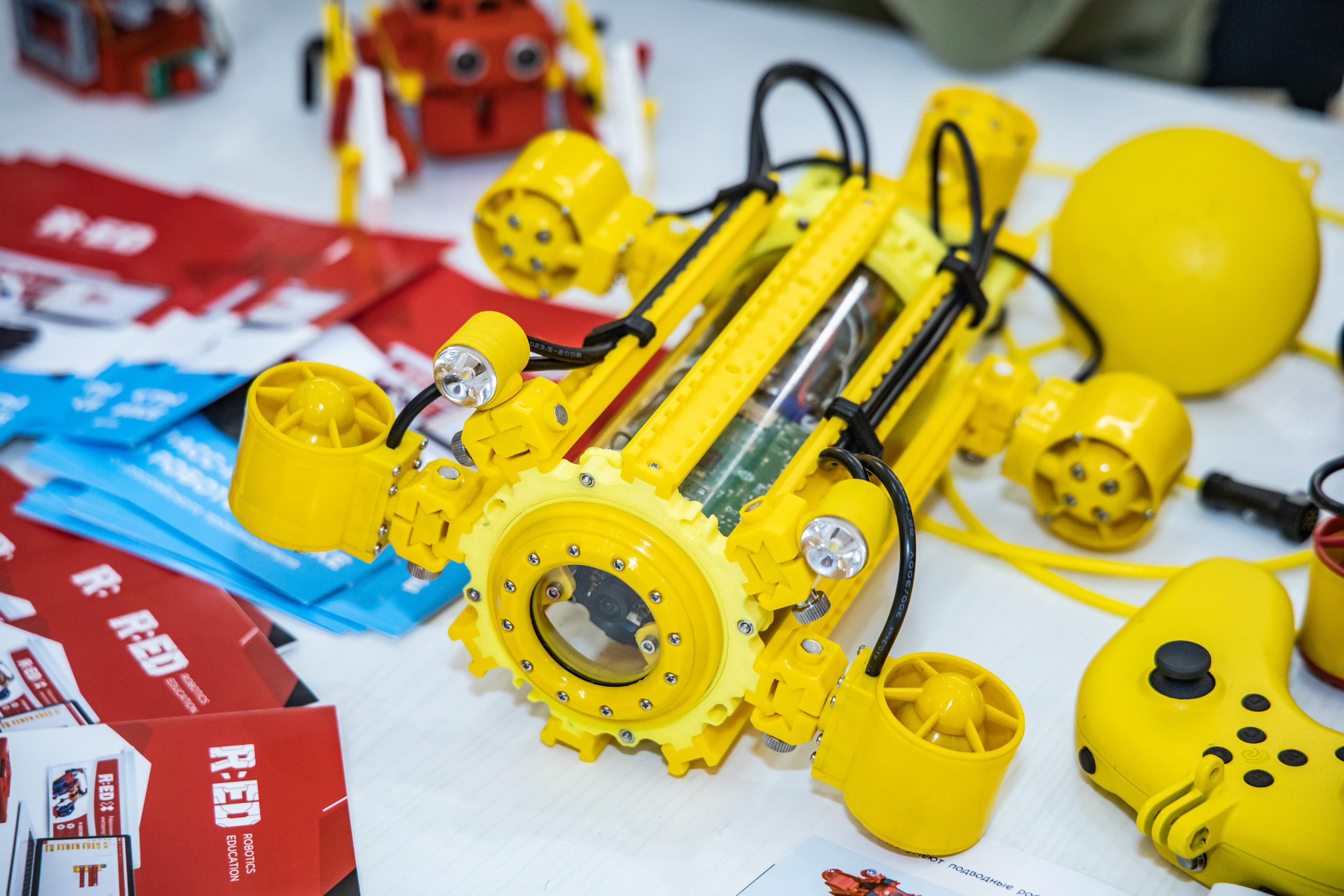 Репортажная съёмка. Профессиональный фотограф Светлана Протасова