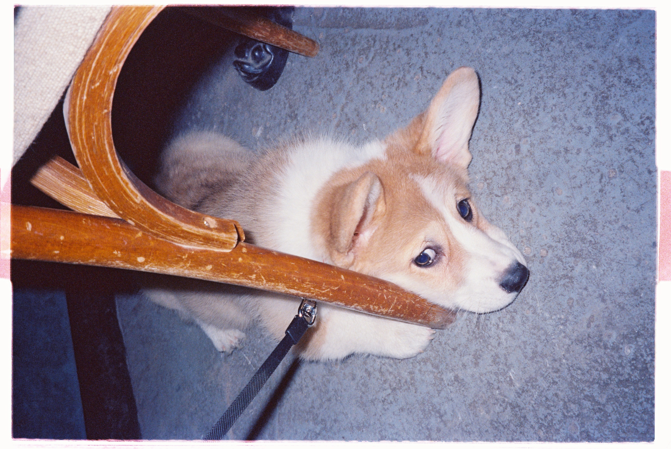 Journal. Photographer Dima Sharov | Фотограф Дима Шаров