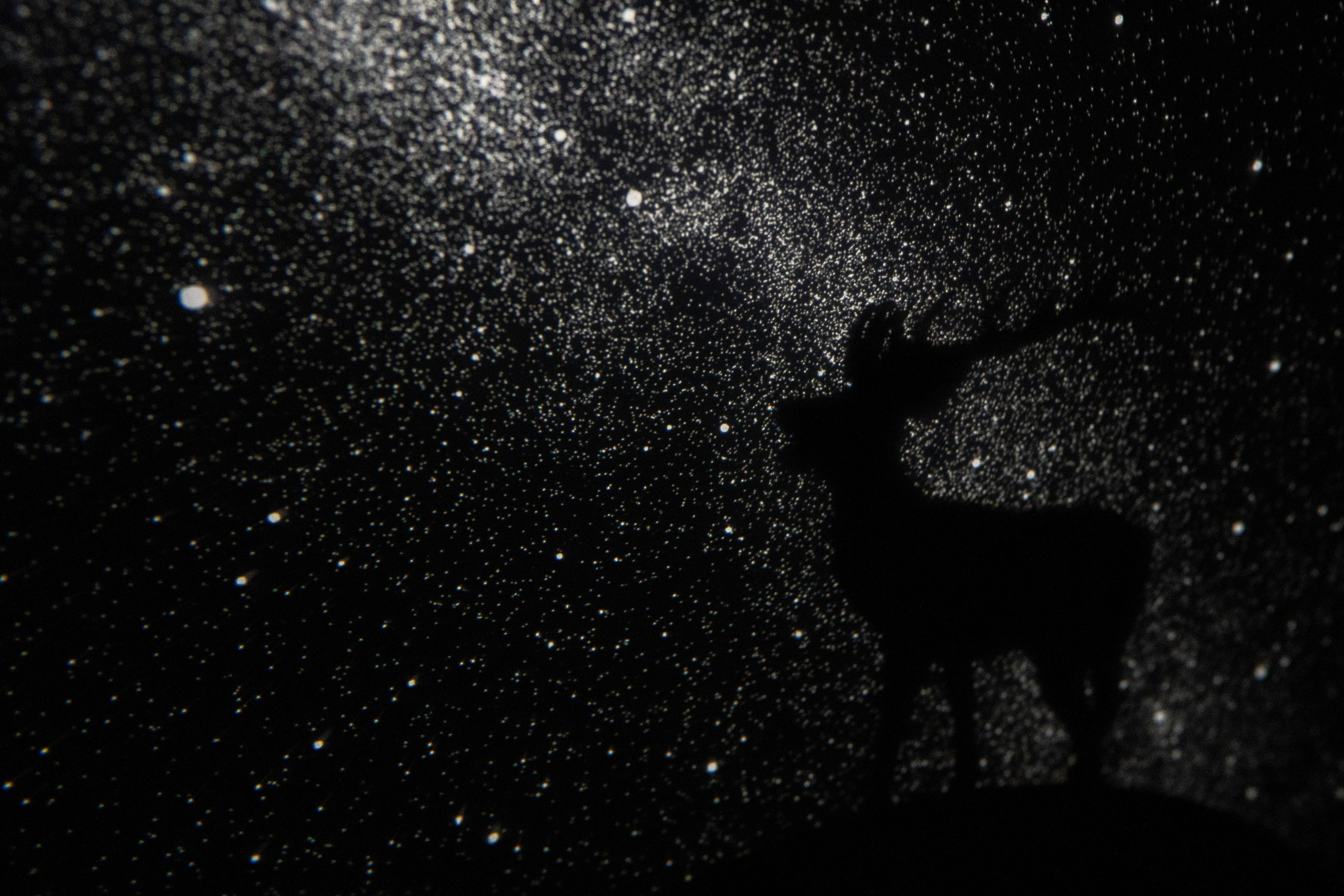 Обучение. Фотограф Людмила Оюн