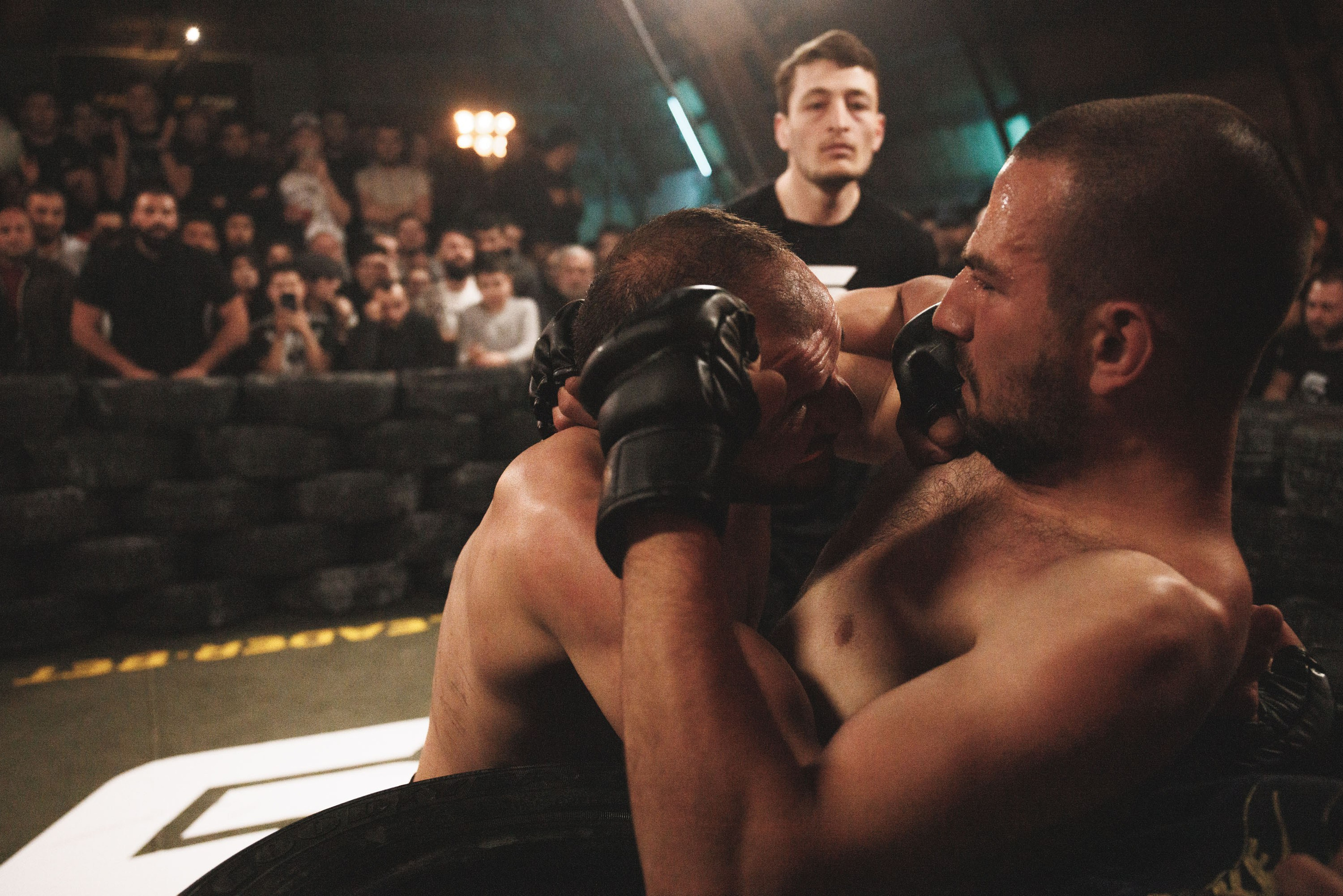 Fights // Social. Bivol images