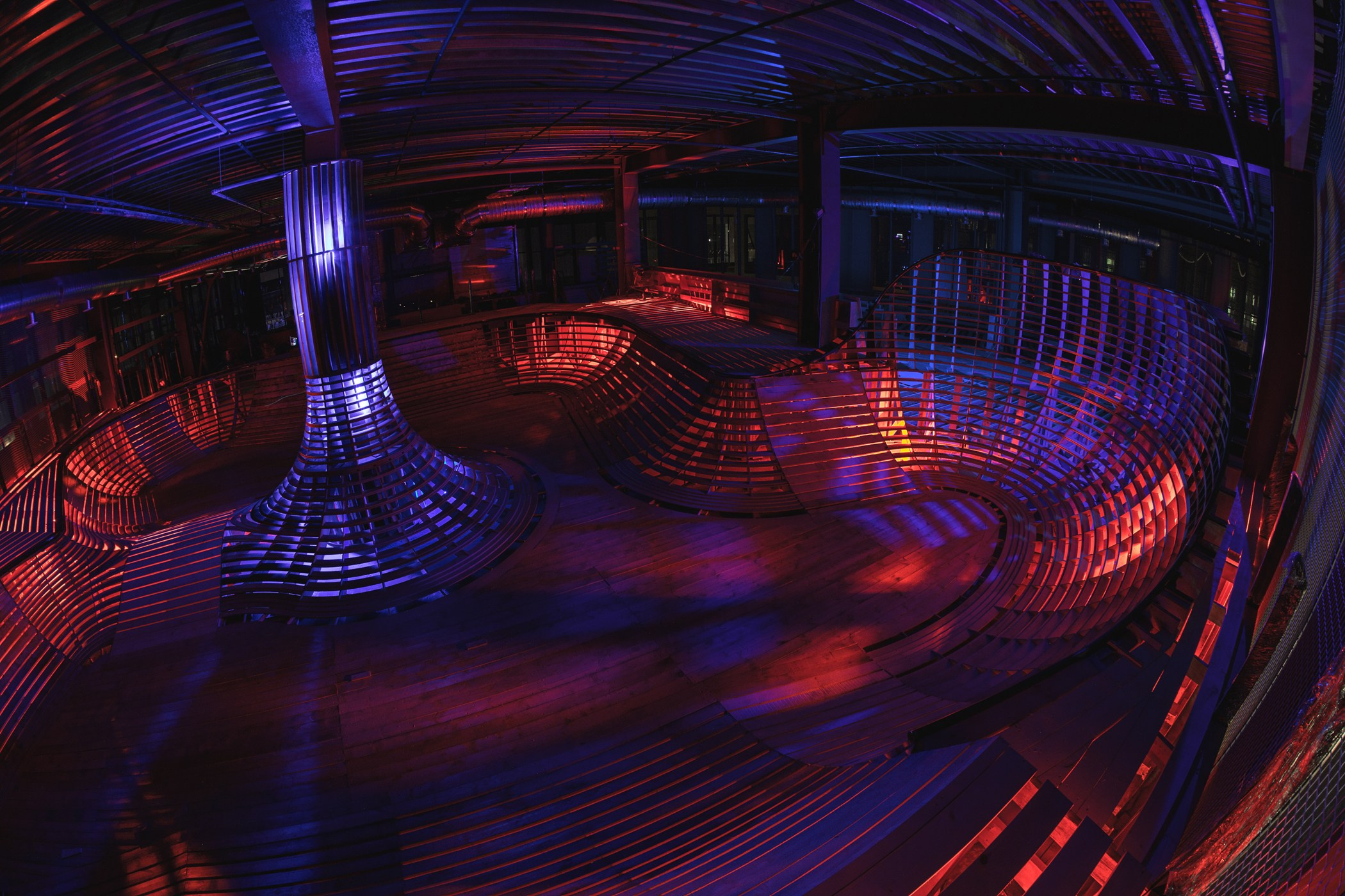 Random photo roulette. Bivol images