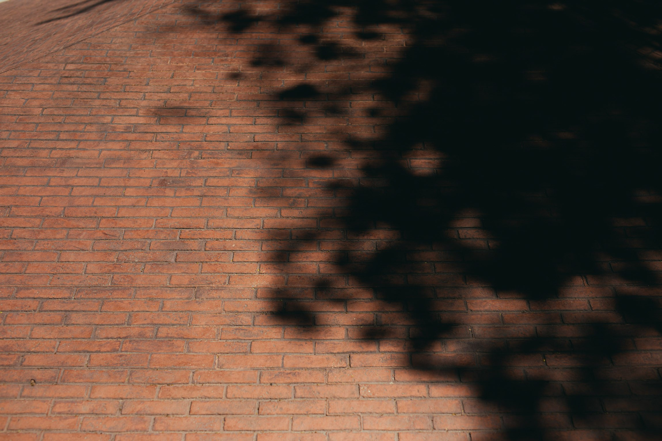 Architectural / Архитектурное. Bivol images