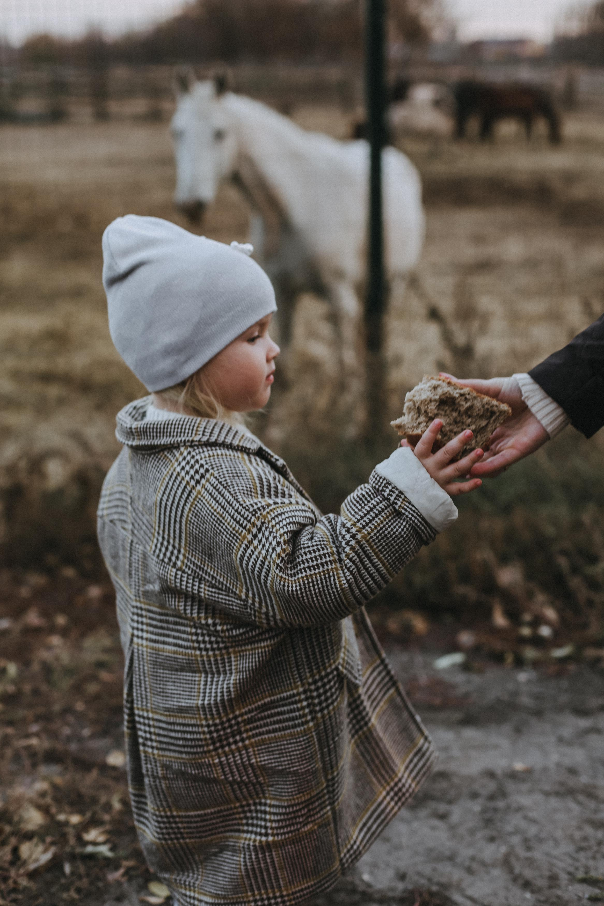 . Свадебный и семейный фотограф Захарова Юлия