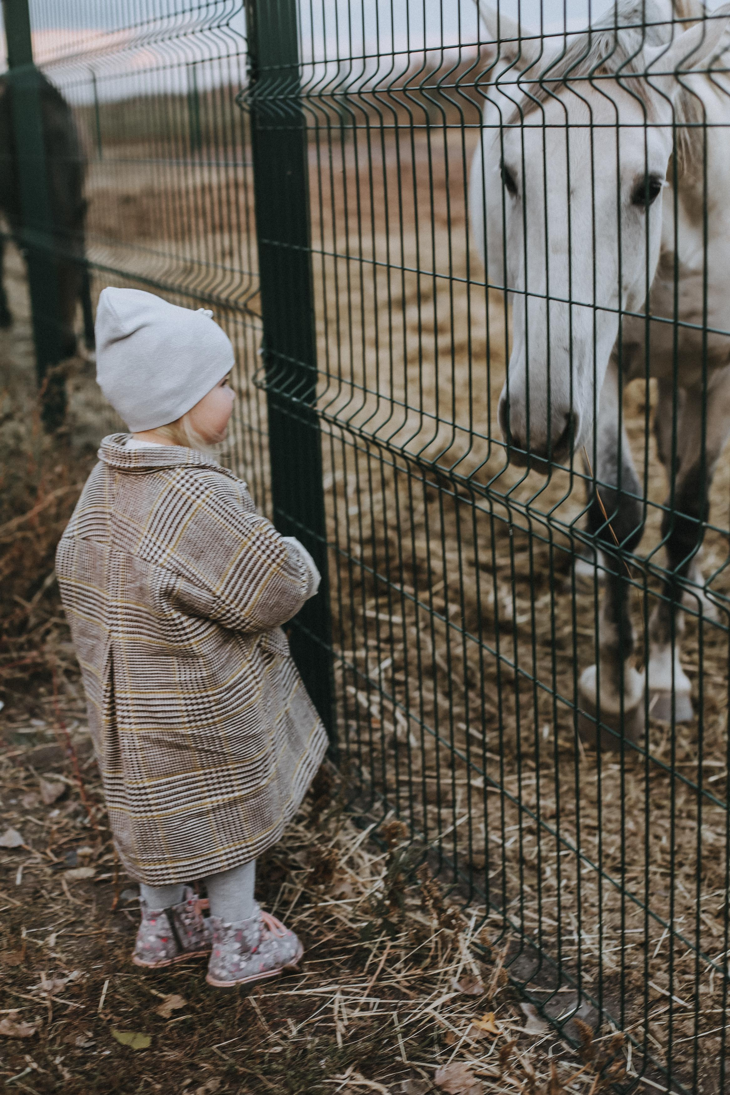 . Свадебный и семейный фотограф Захарова Юлия