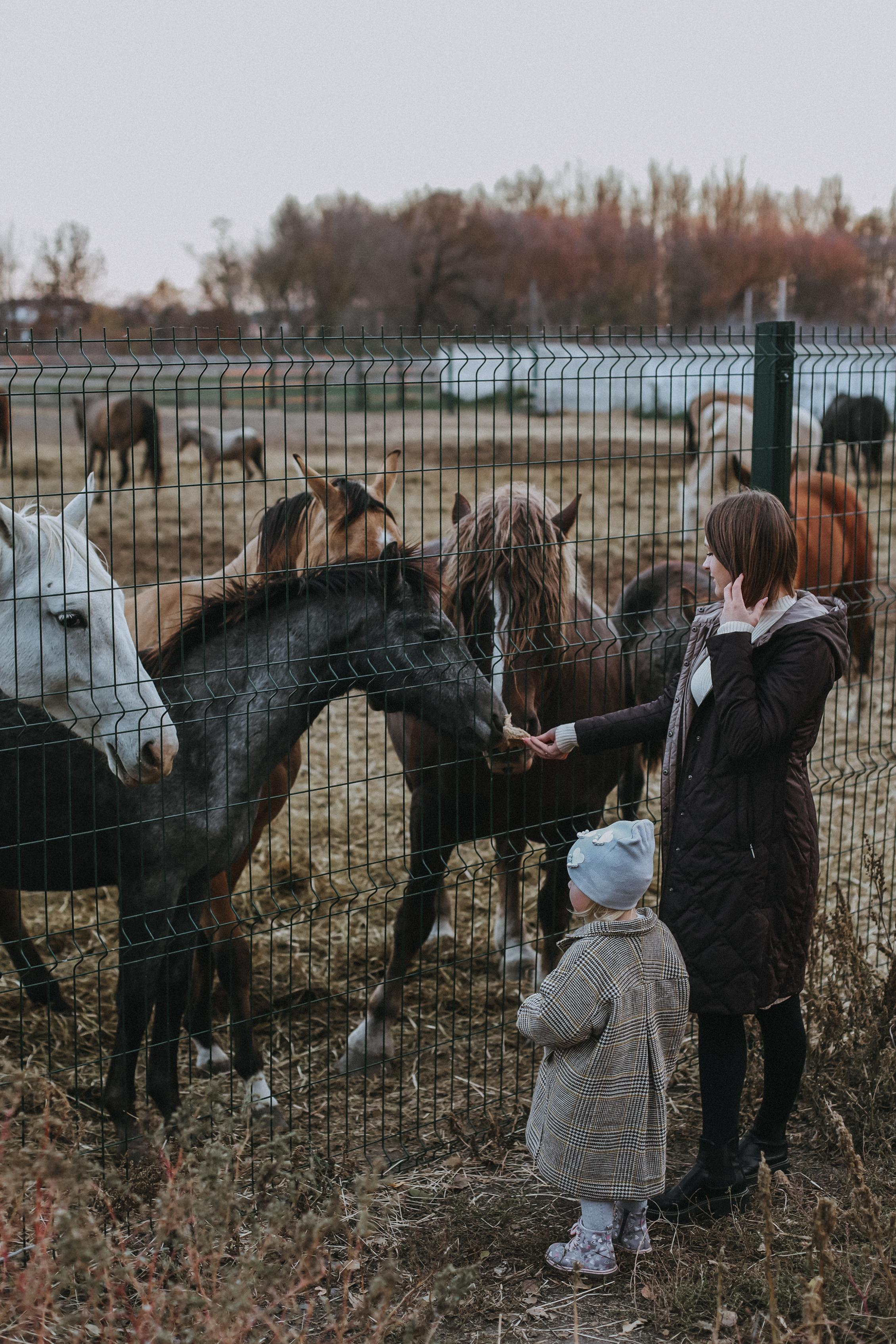 . Свадебный и семейный фотограф Захарова Юлия