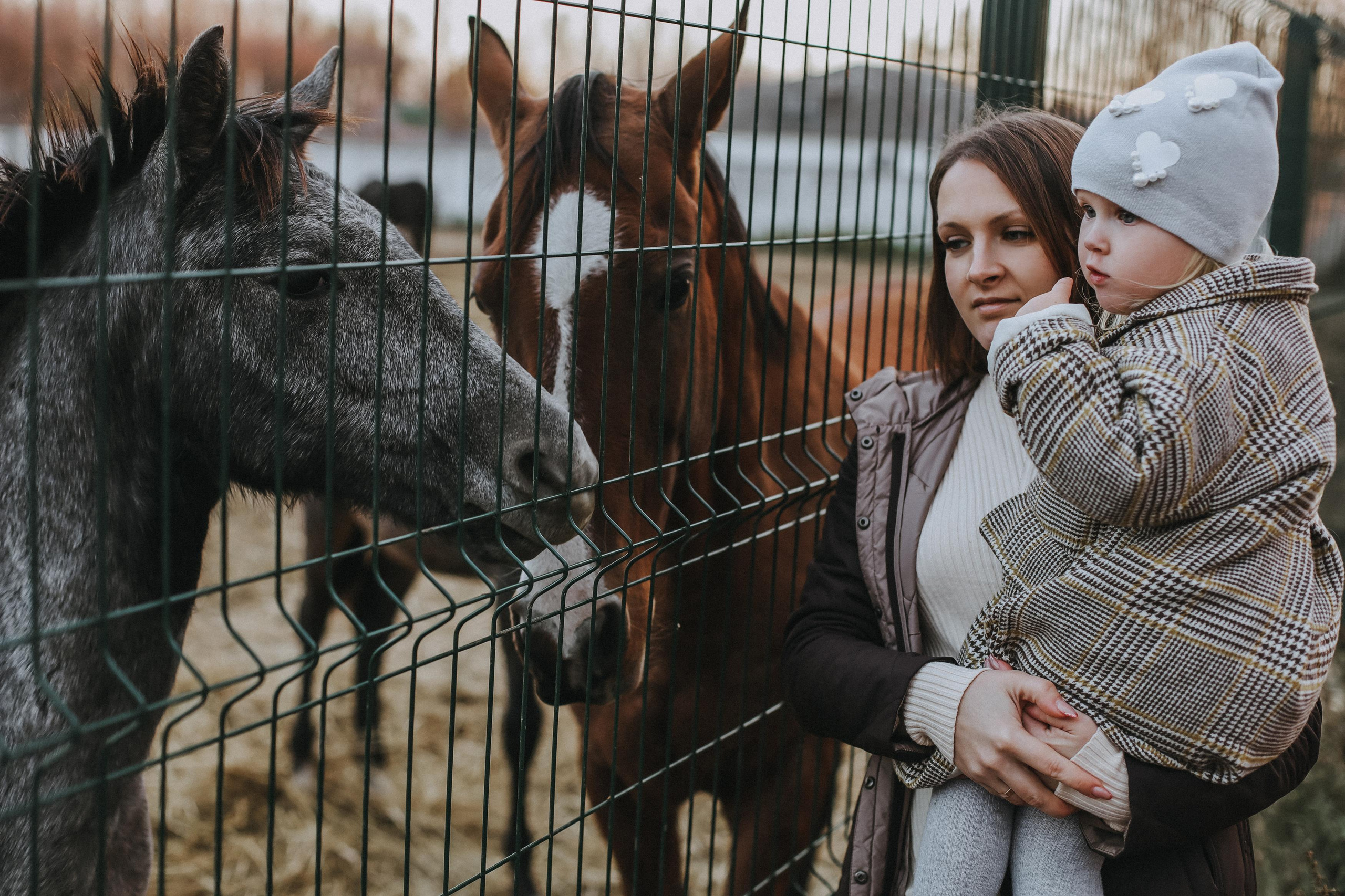 . Свадебный и семейный фотограф Захарова Юлия