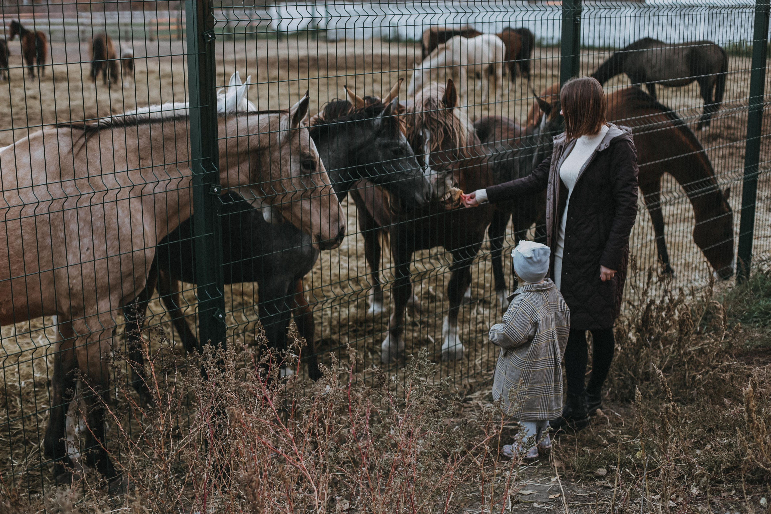 . Свадебный и семейный фотограф Захарова Юлия