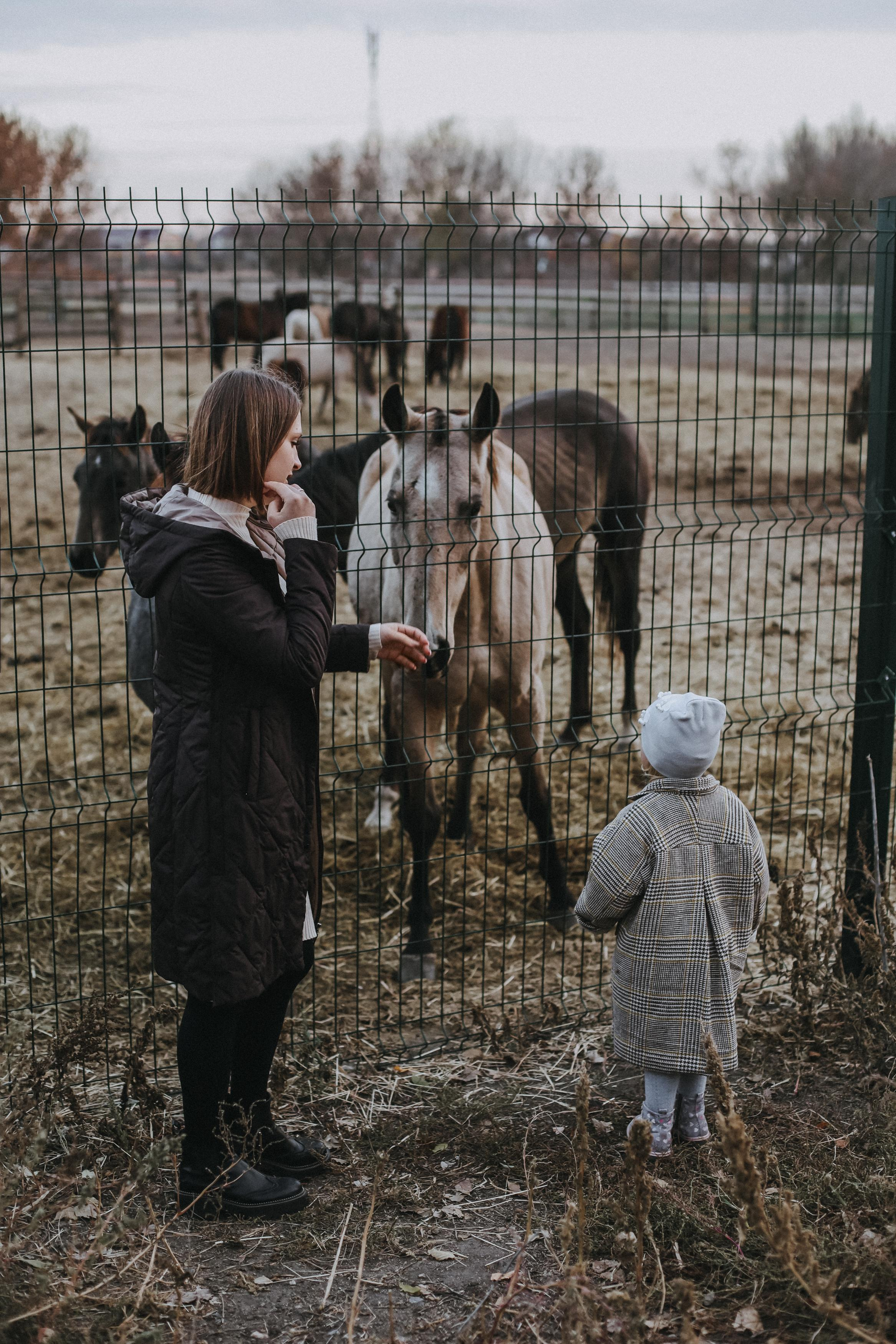 . Свадебный и семейный фотограф Захарова Юлия