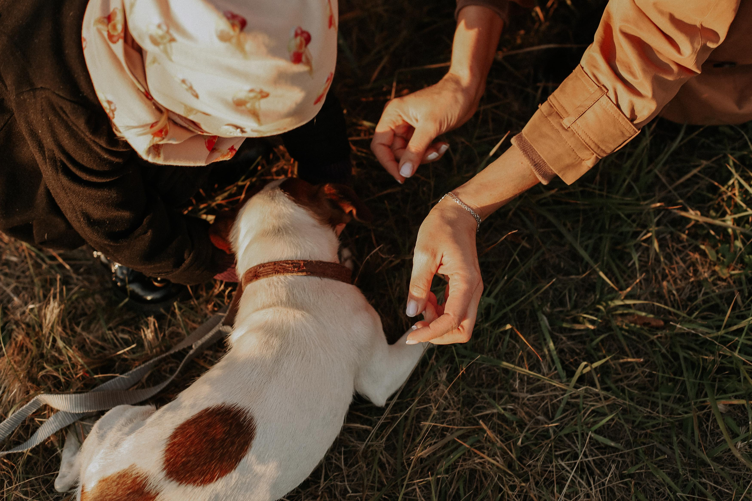 1+1=4. Свадебный и семейный фотограф Захарова Юлия