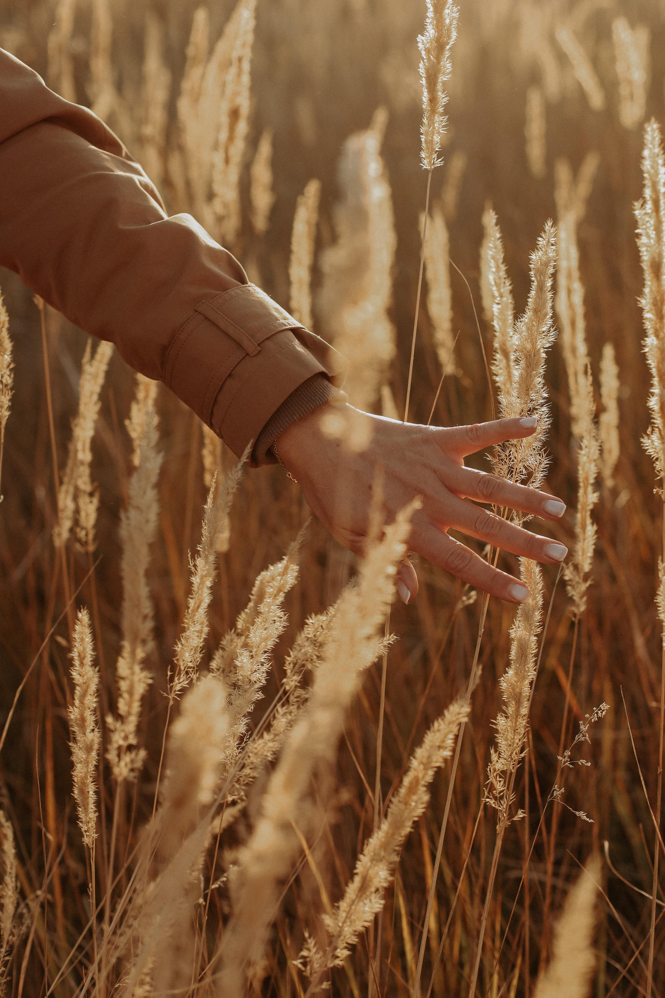 1+1=4. Свадебный и семейный фотограф Захарова Юлия