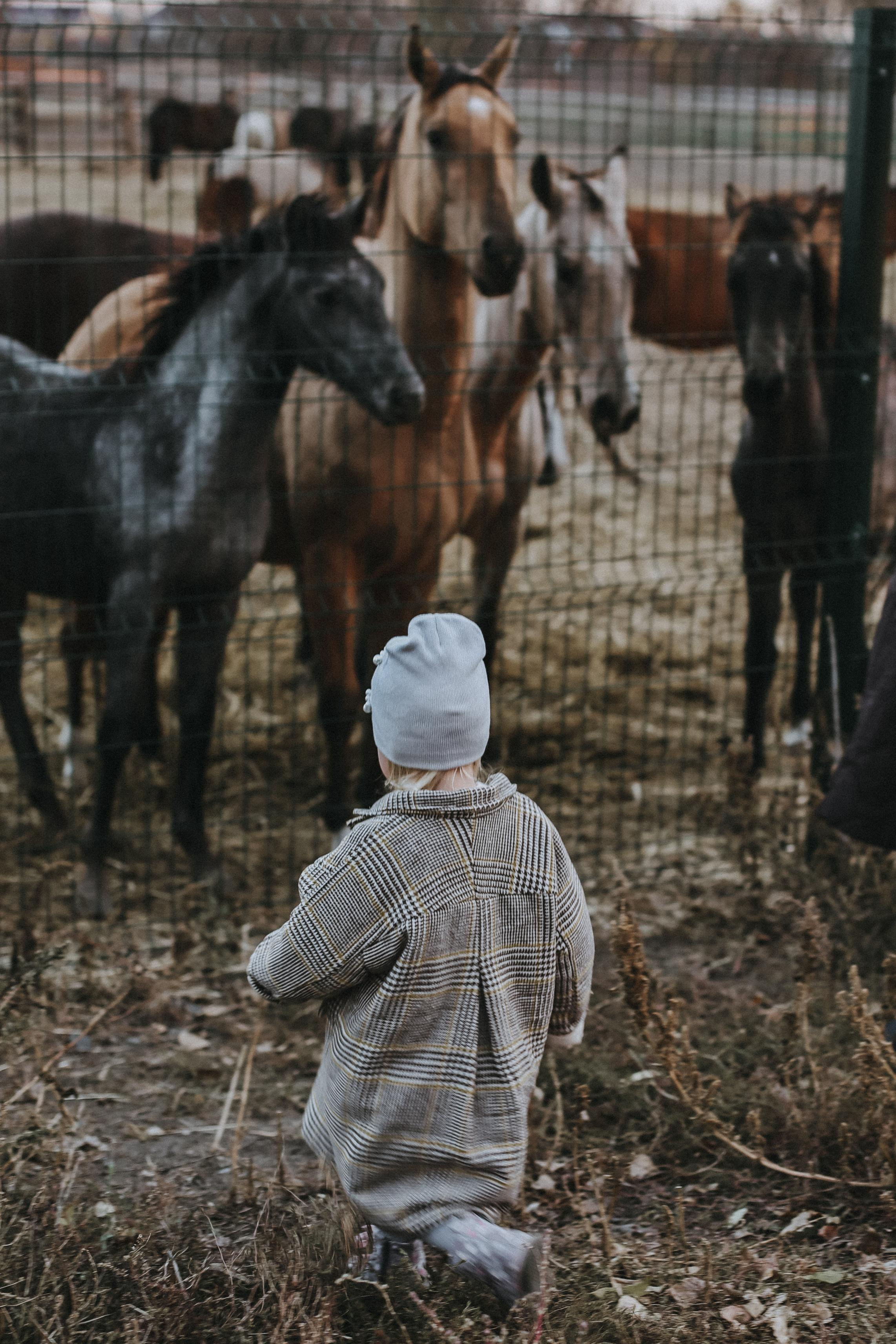 . Свадебный и семейный фотограф Захарова Юлия