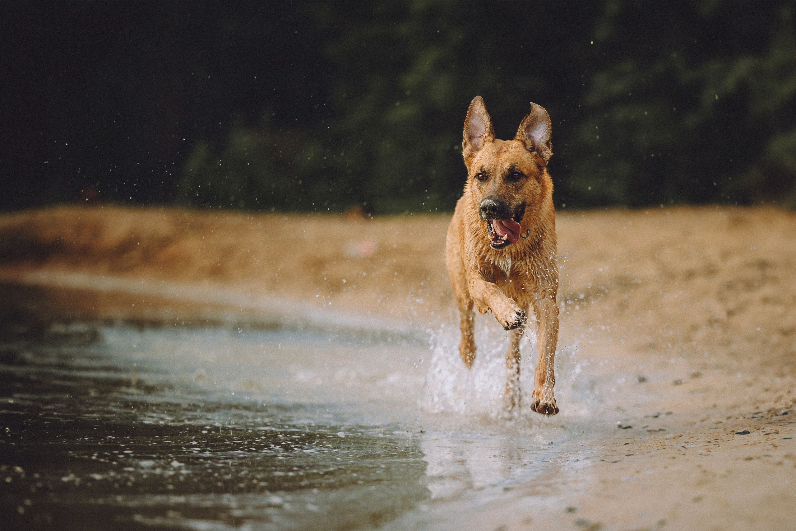 Роби, Тео и их семья