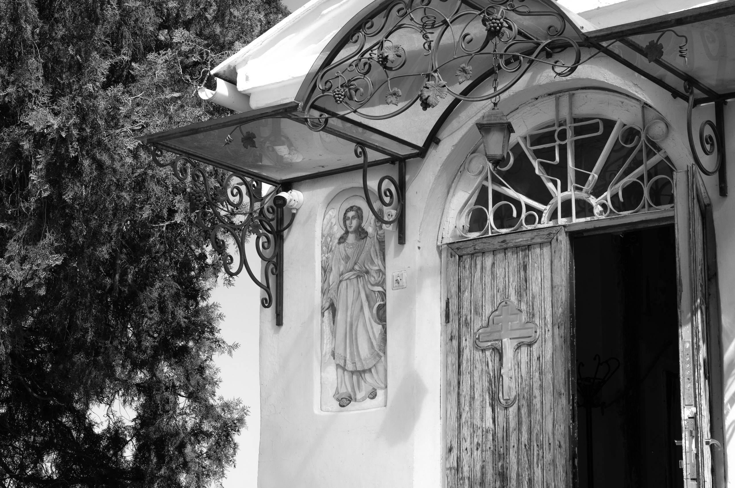 Для души. Сейчас вылетит ПТИЧКА! Фотосессии в Керчи