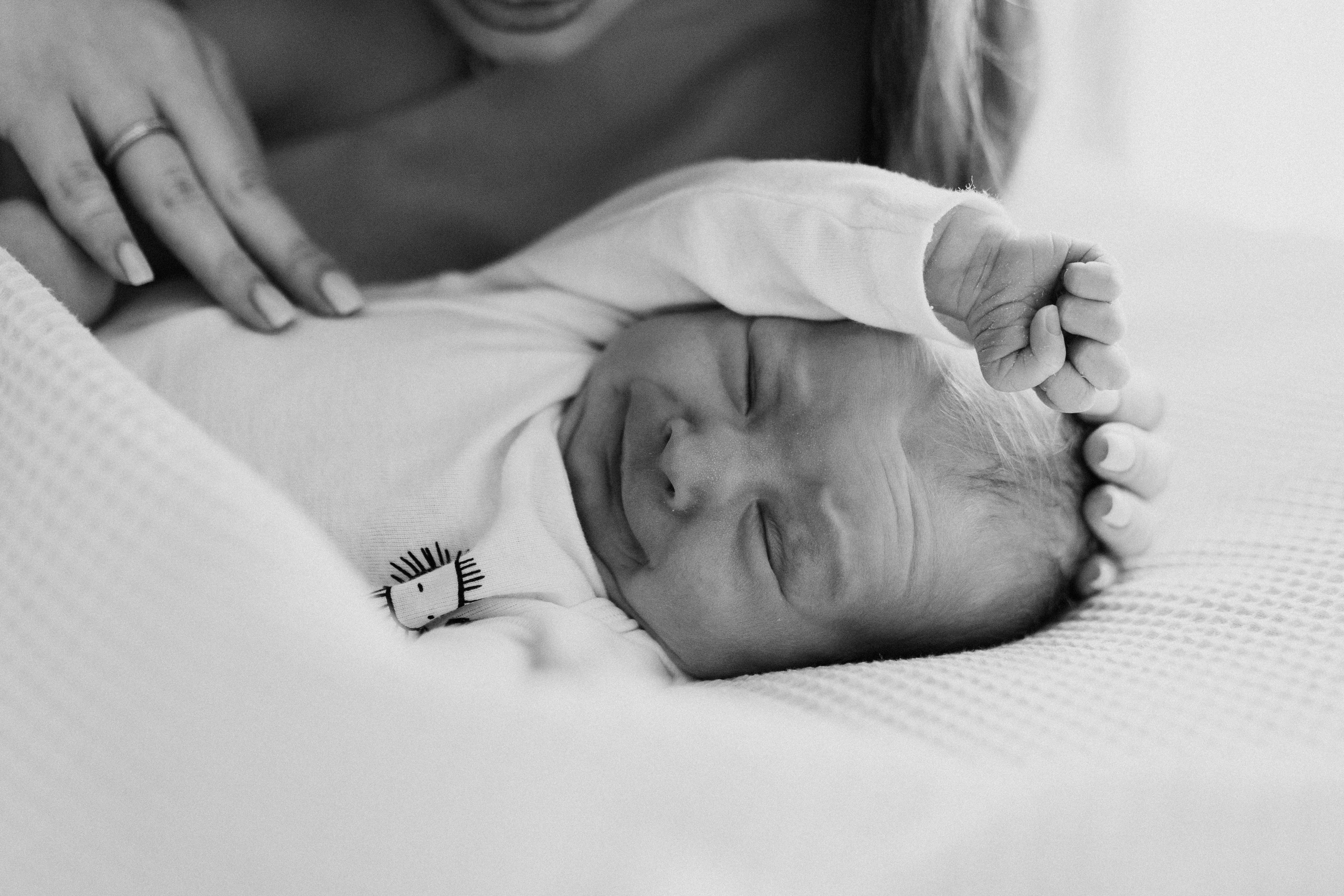 Элина, Рома, Майя. Семейный фотограф Москва