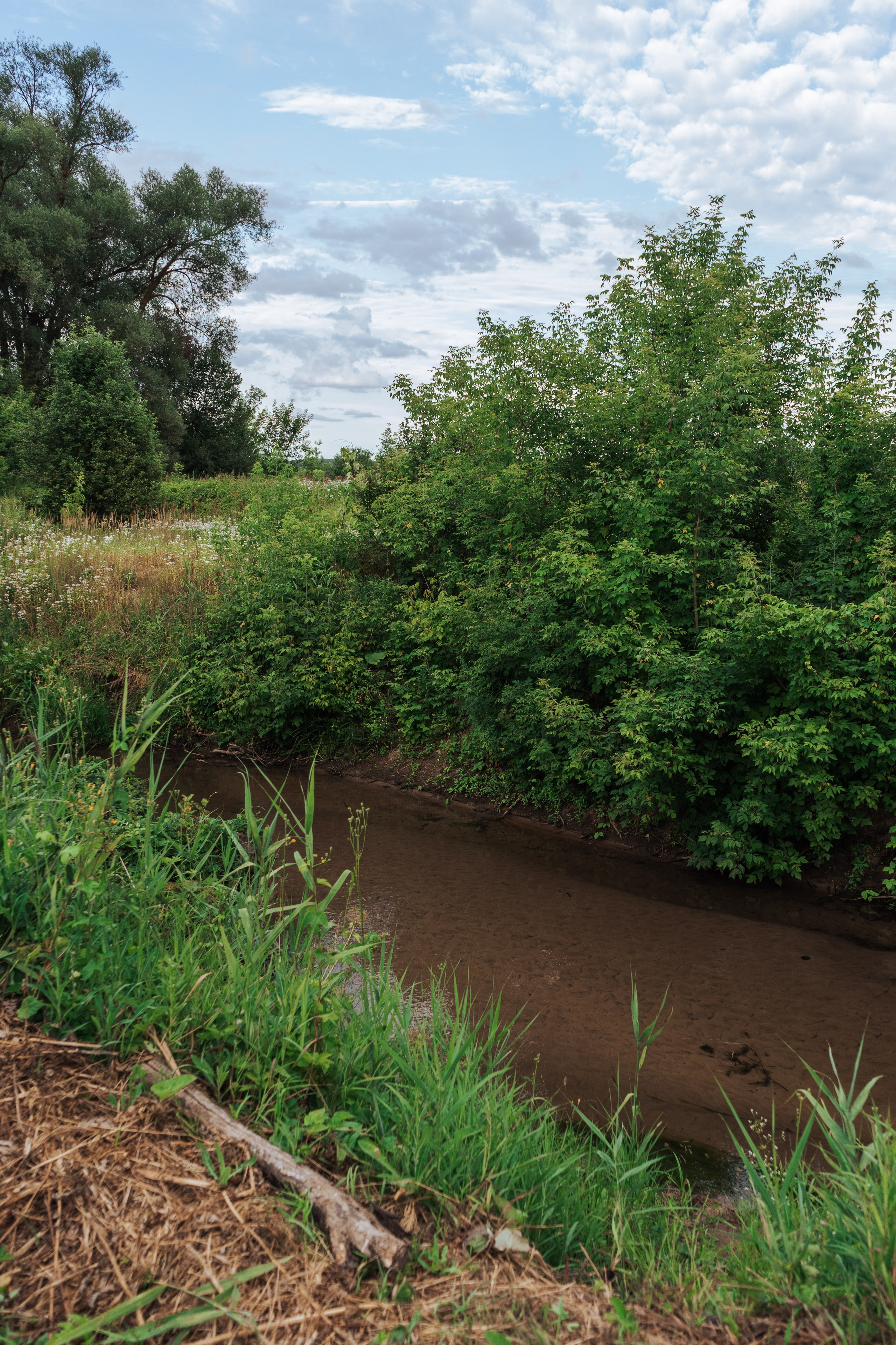 Ретрит от т-центра Псайторий 2024. Портретный фотограф Нижний Новгород