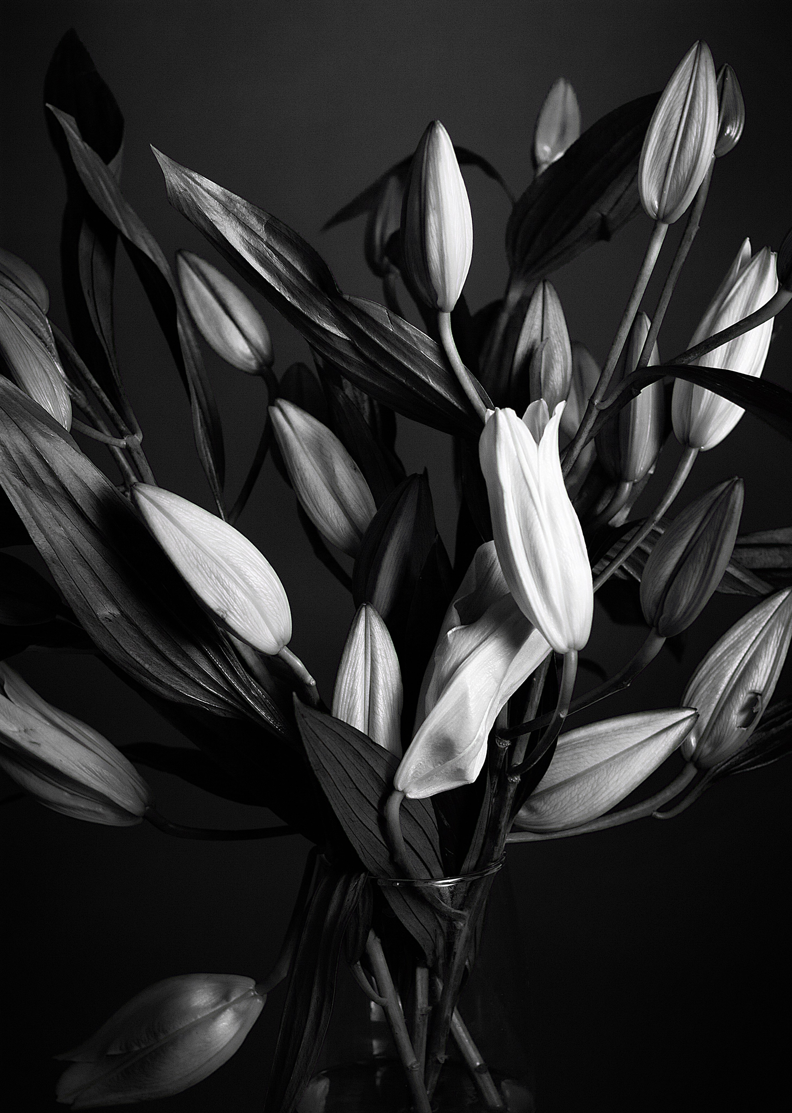 Портретный фотограф