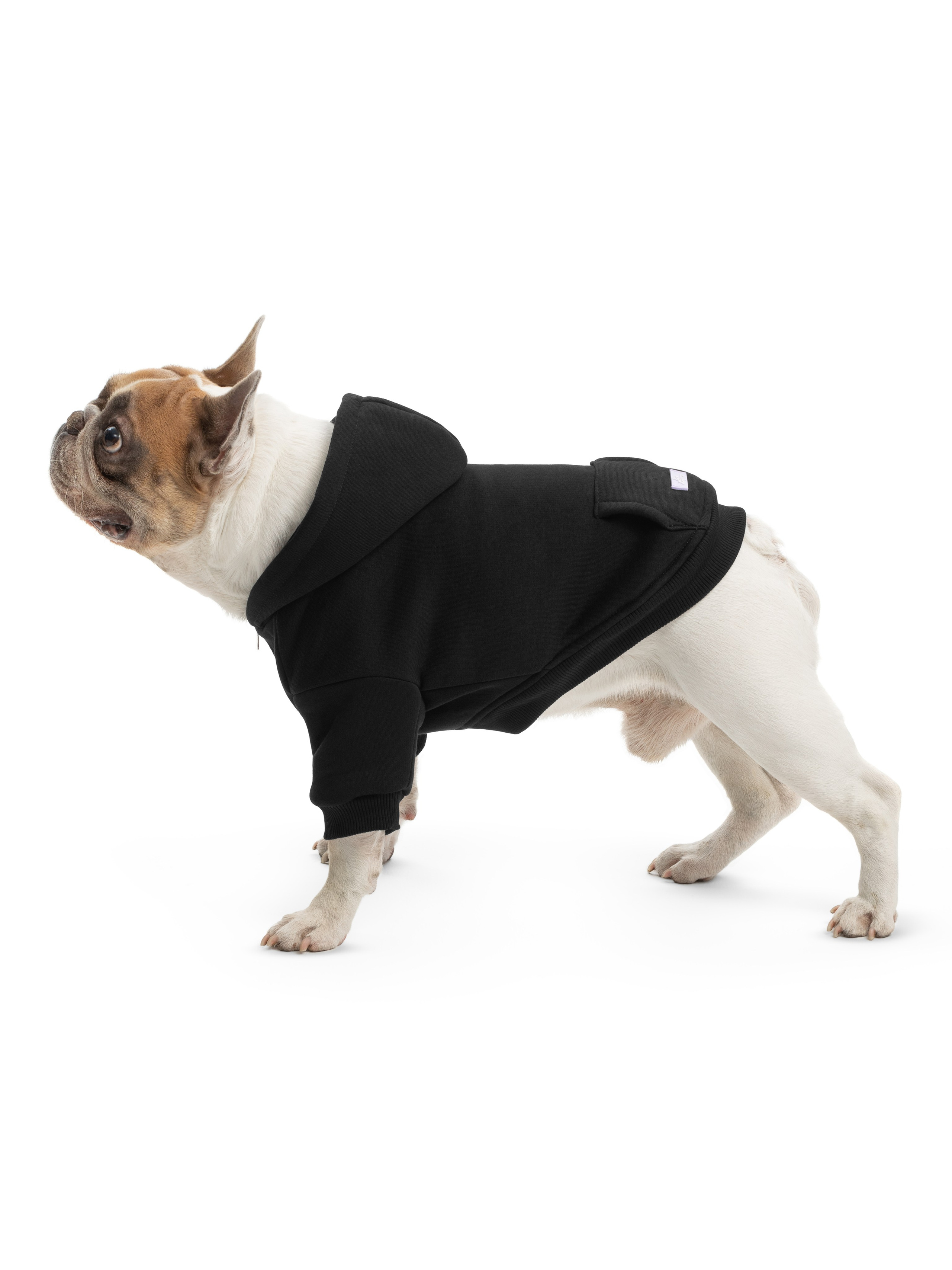 Одежда для собак Pet Subject. Олег Дмитриев