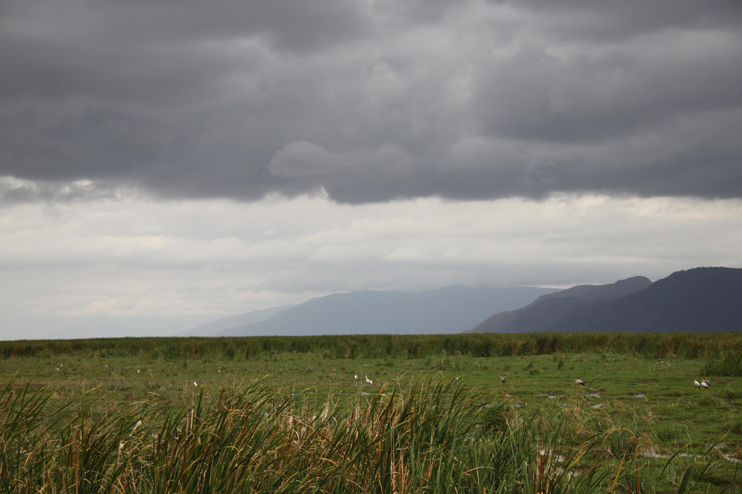 Lake Manyara National Park. Andrey Filippov Photographer