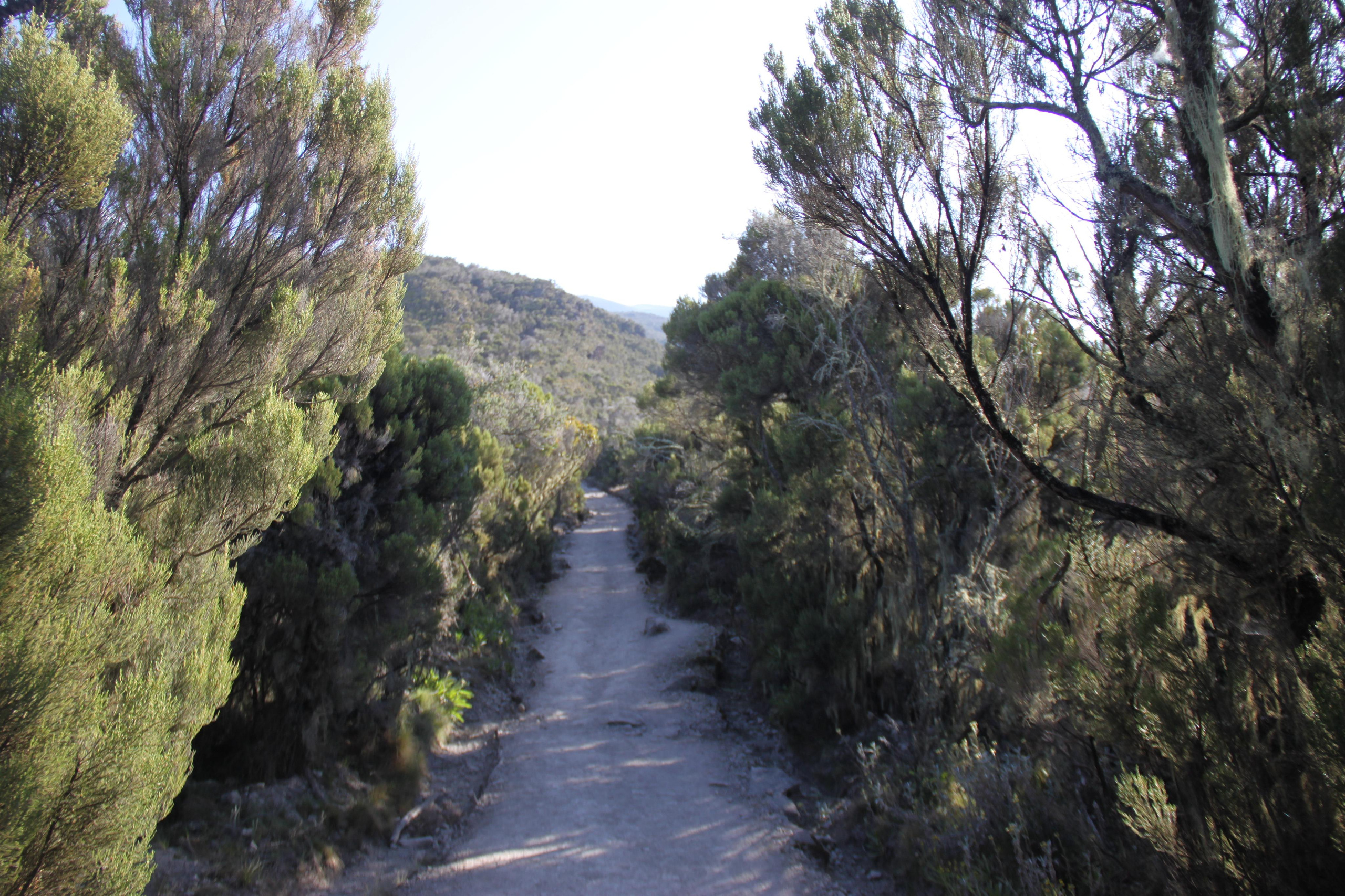 Mount Kilimanjaro. Andrey Filippov Photographer