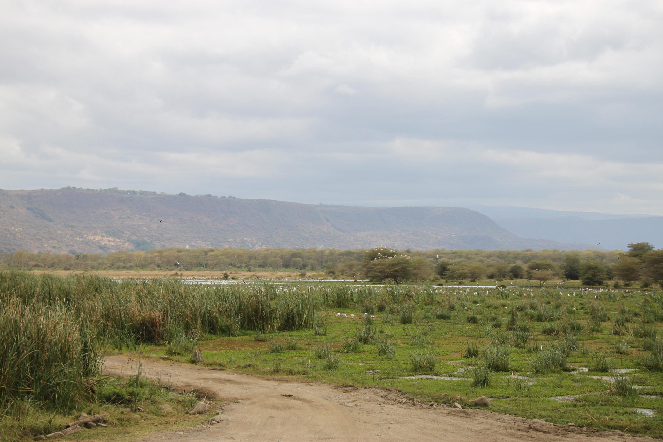 Lake Manyara National Park. Andrey Filippov Photographer