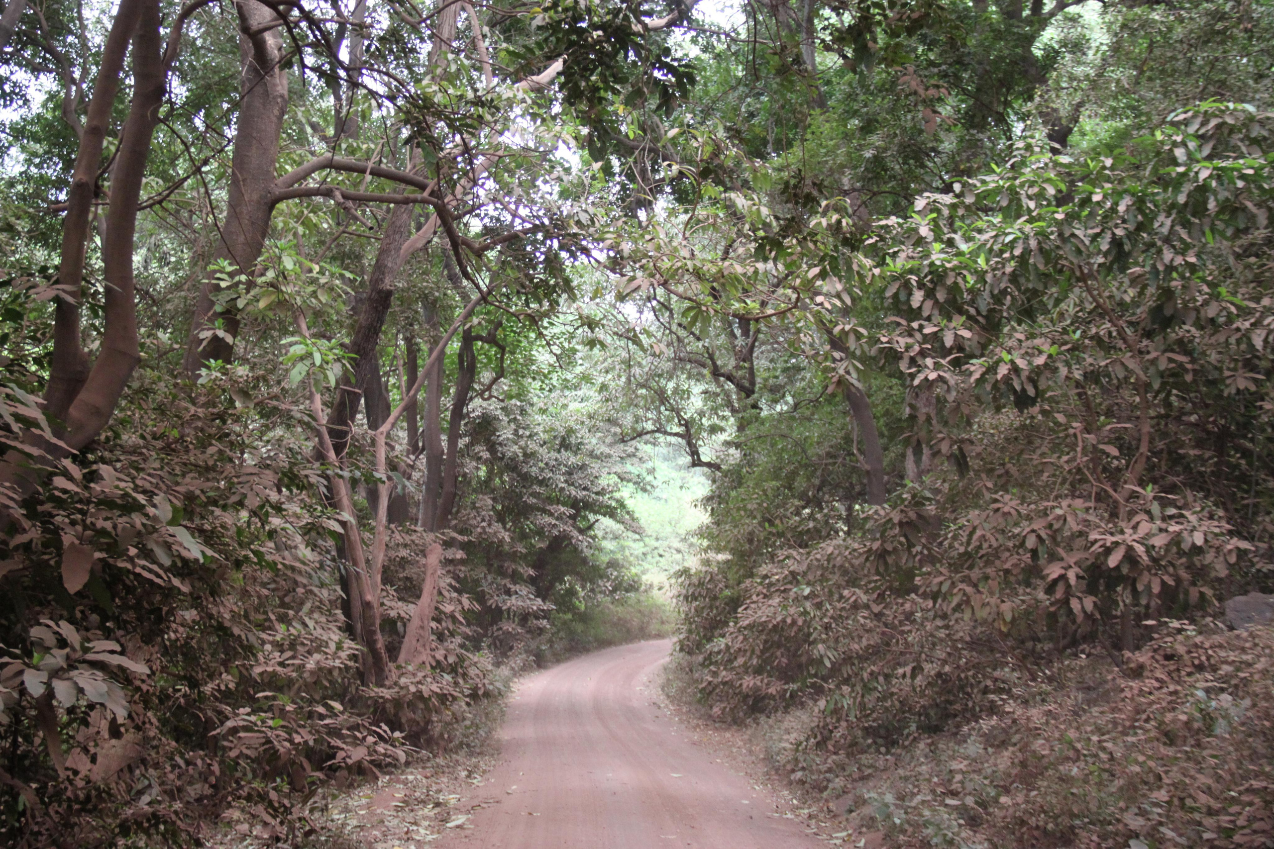 Lake Manyara National Park. Andrey Filippov Photographer