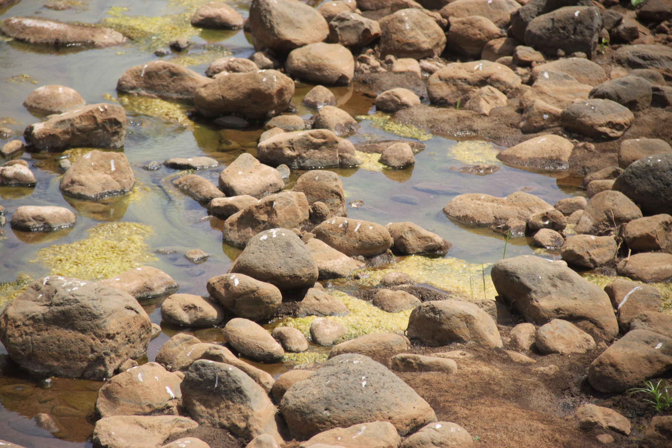 Lake Manyara National Park. Andrey Filippov Photographer