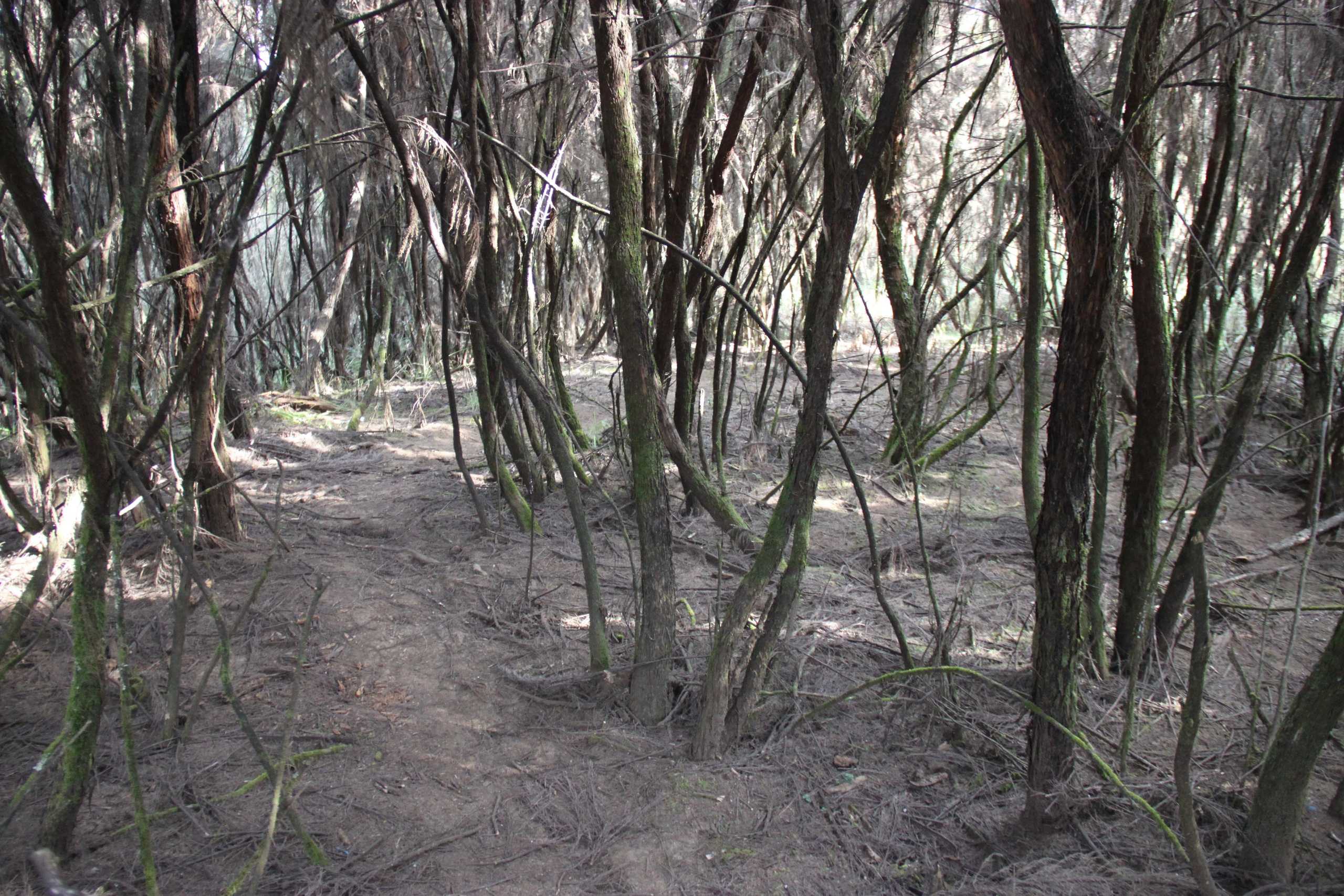 Mount Kilimanjaro. Andrey Filippov Photographer