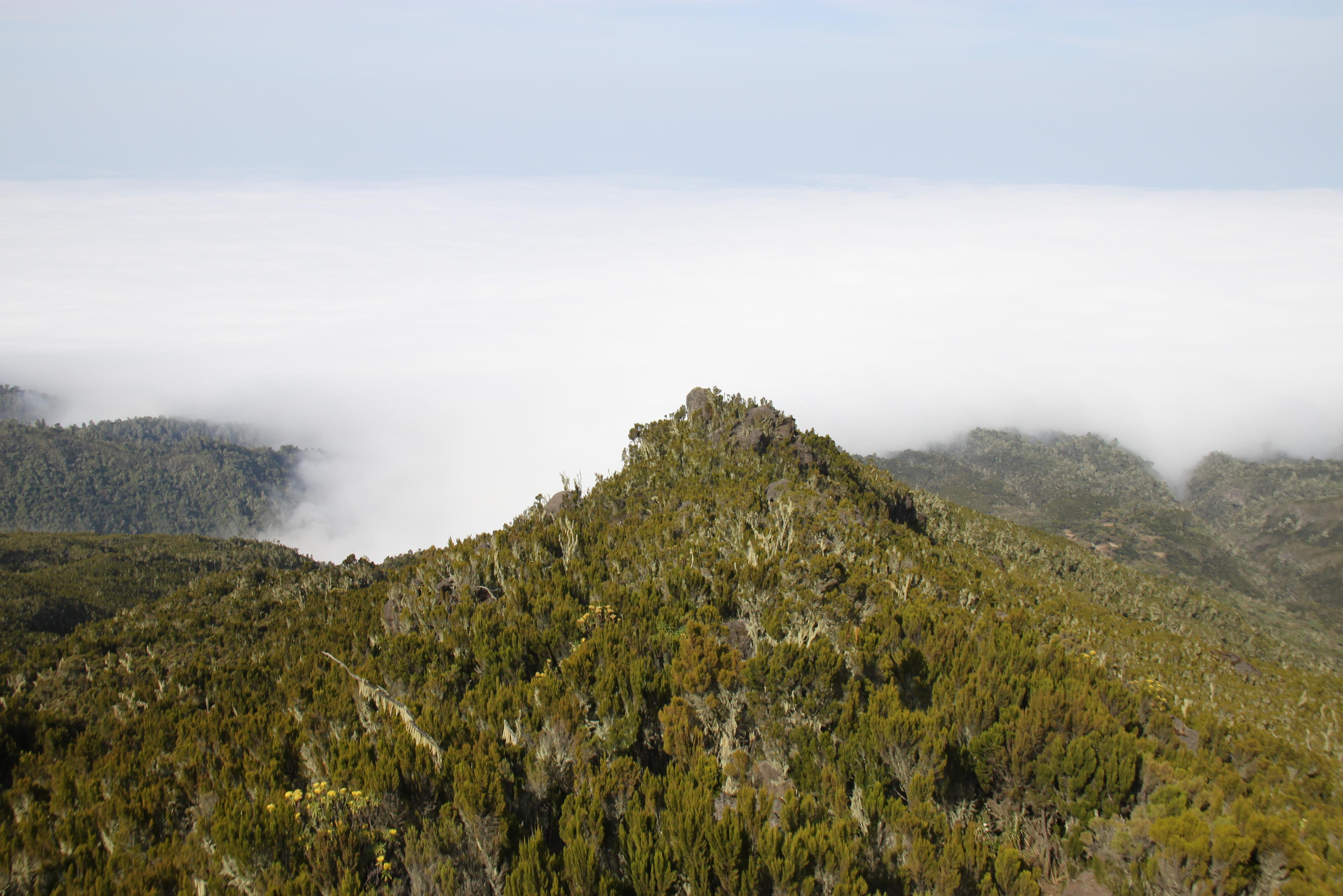Mount Kilimanjaro. Andrey Filippov Photographer