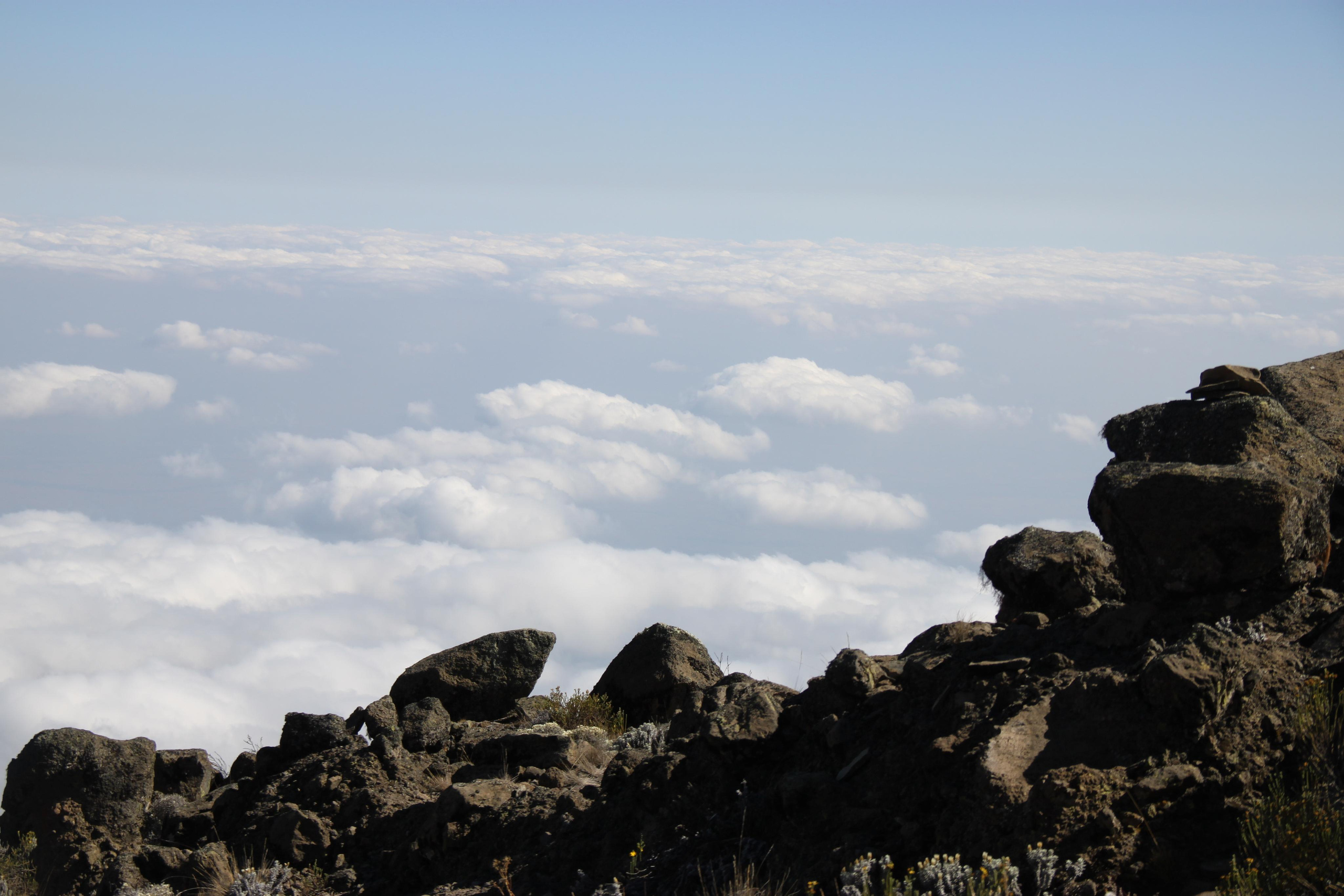 Mount Kilimanjaro. Andrey Filippov Photographer