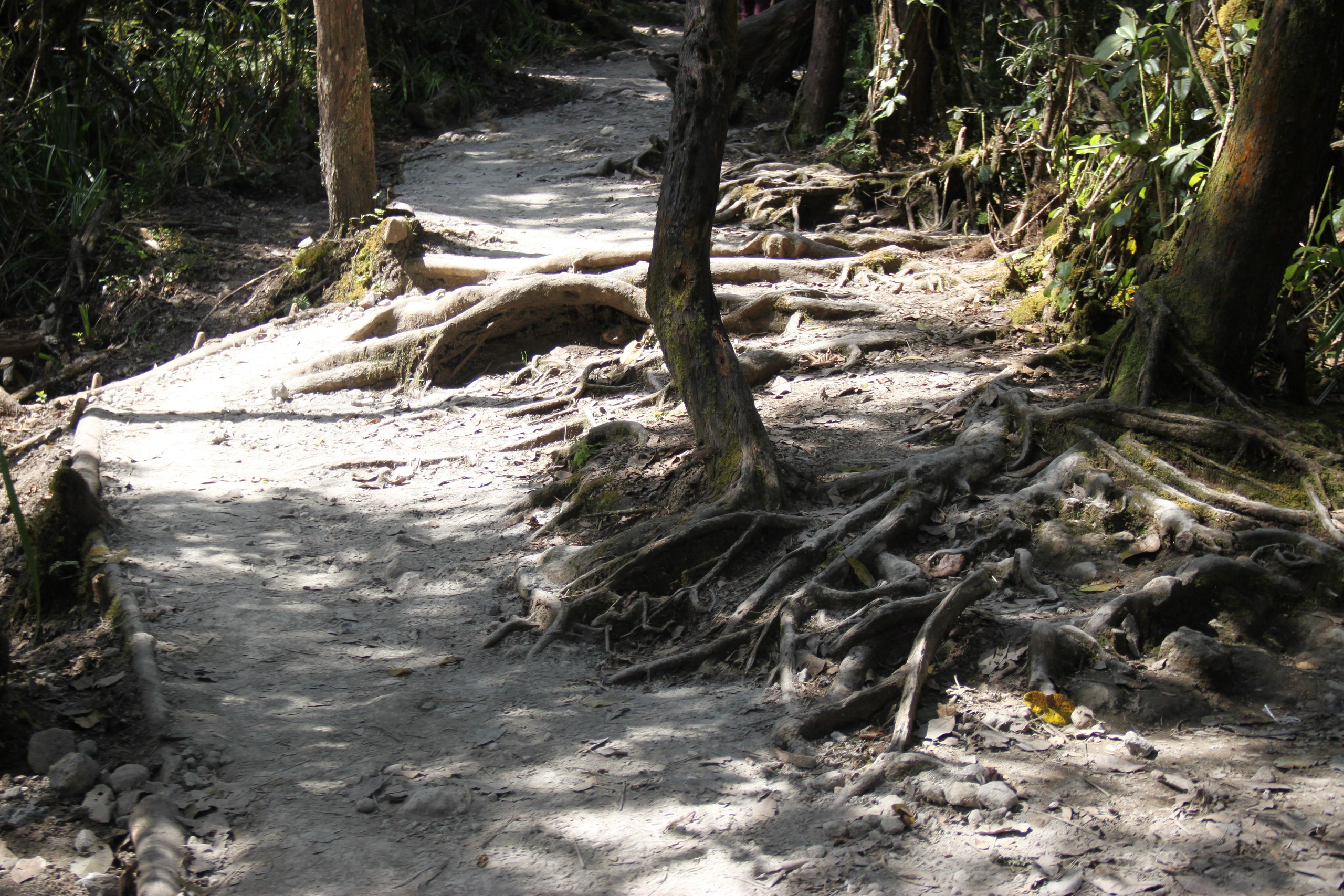 Mount Kilimanjaro. Andrey Filippov Photographer