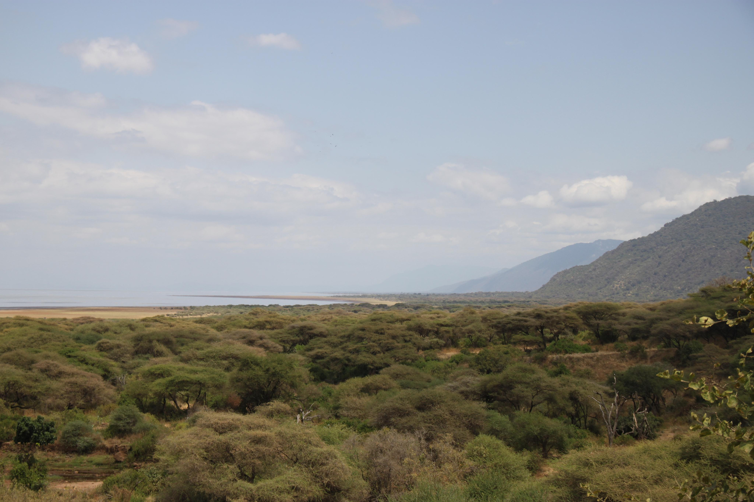 Lake Manyara National Park. Andrey Filippov Photographer