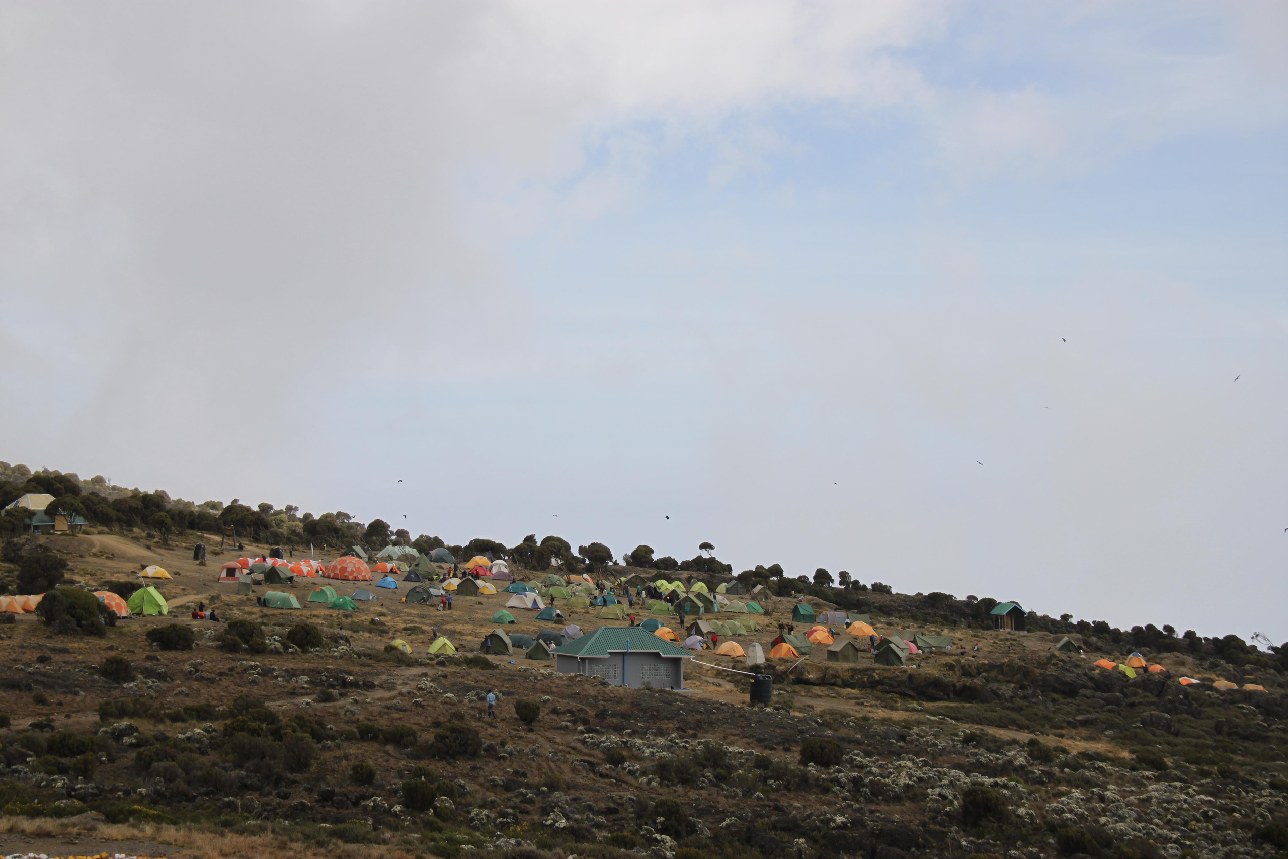Mount Kilimanjaro. Andrey Filippov Photographer