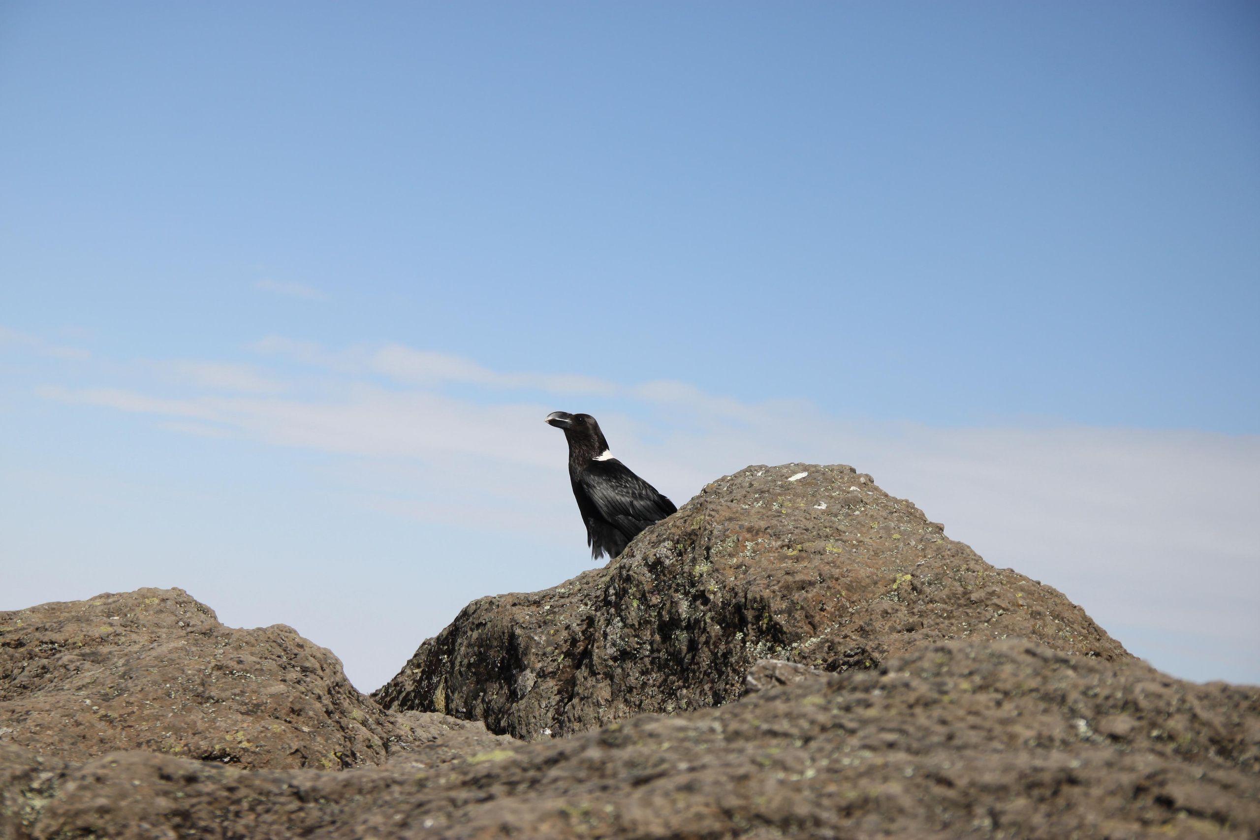 Mount Kilimanjaro. Andrey Filippov Photographer