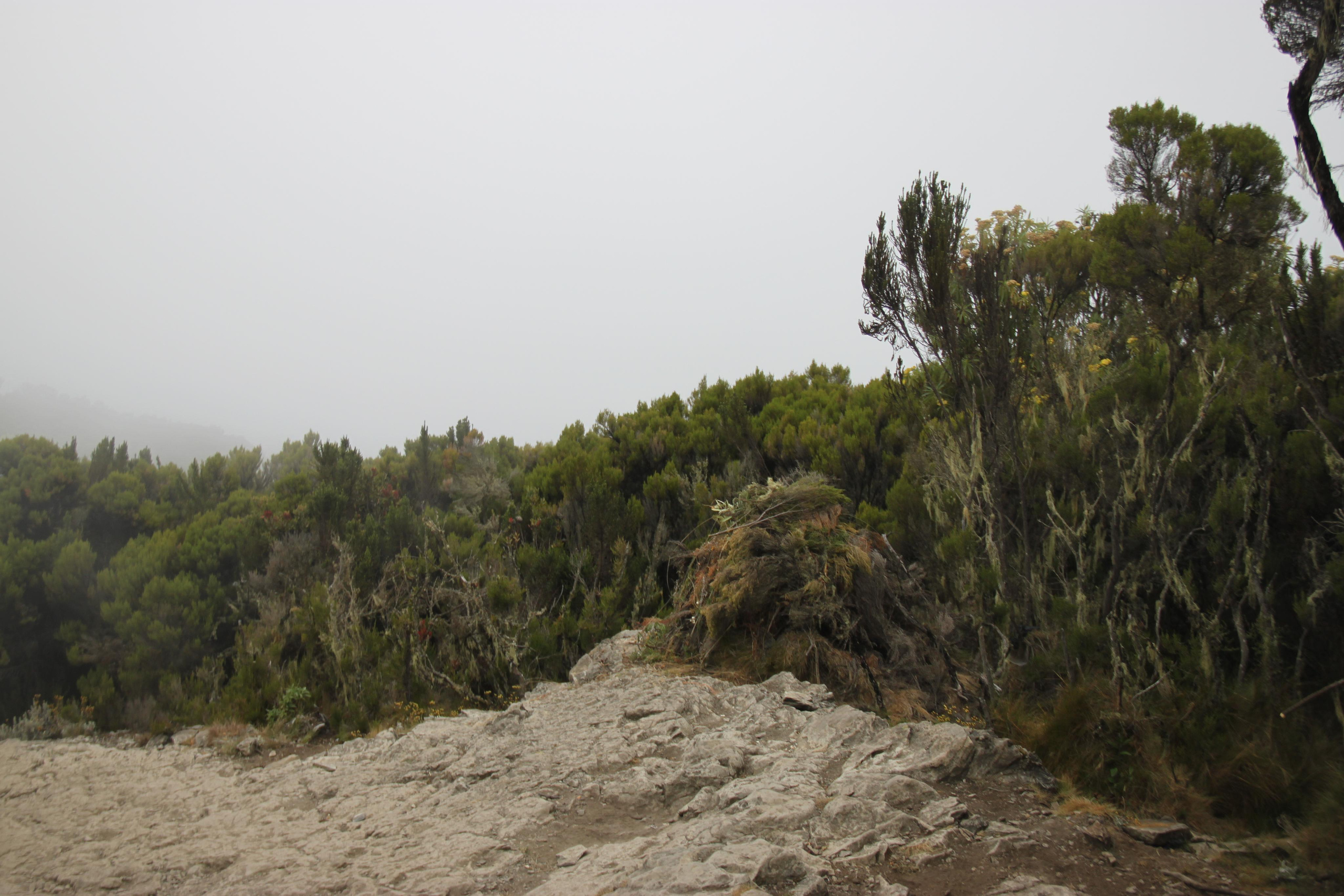 Mount Kilimanjaro. Andrey Filippov Photographer