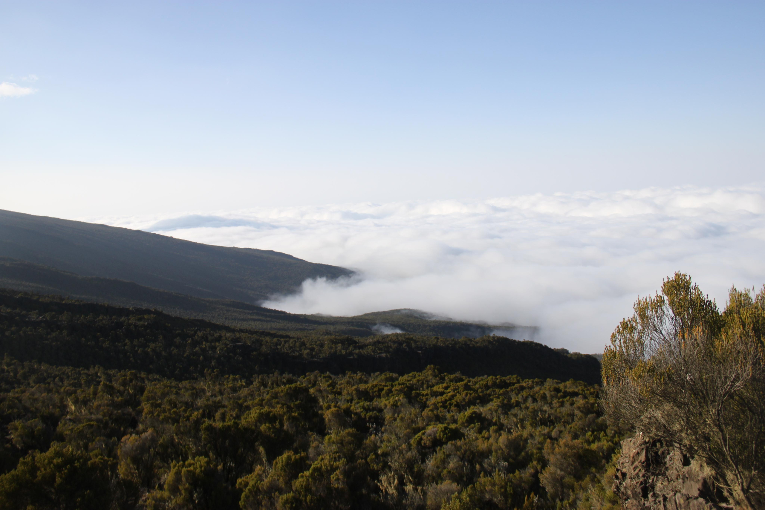 Mount Kilimanjaro. Andrey Filippov Photographer