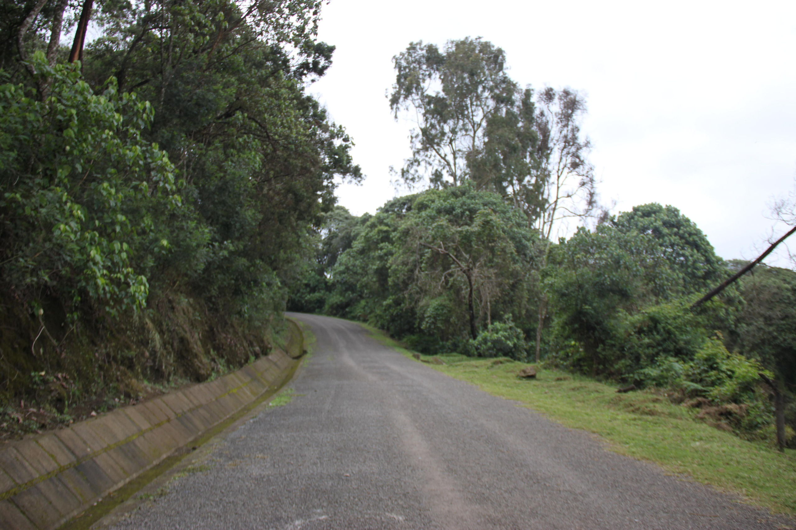 Mount Kilimanjaro. Andrey Filippov Photographer