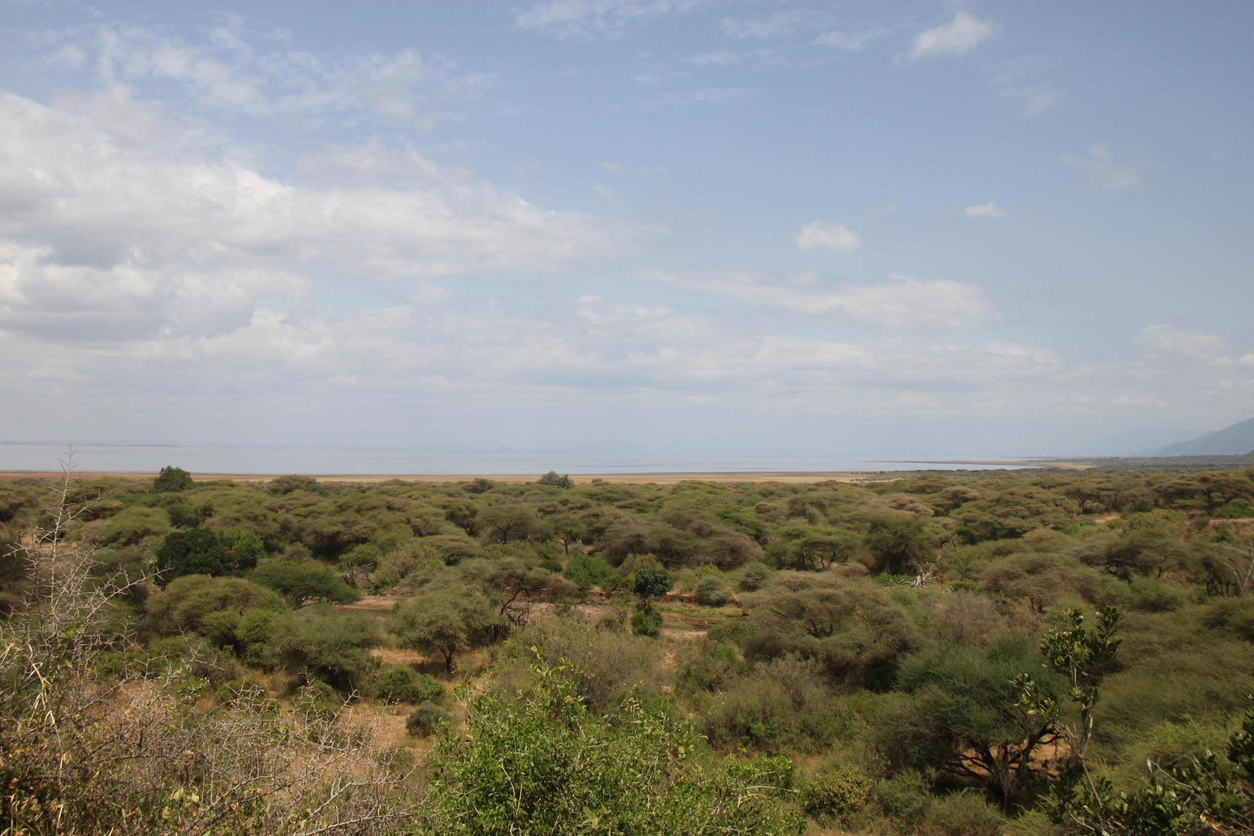 Lake Manyara National Park. Andrey Filippov Photographer
