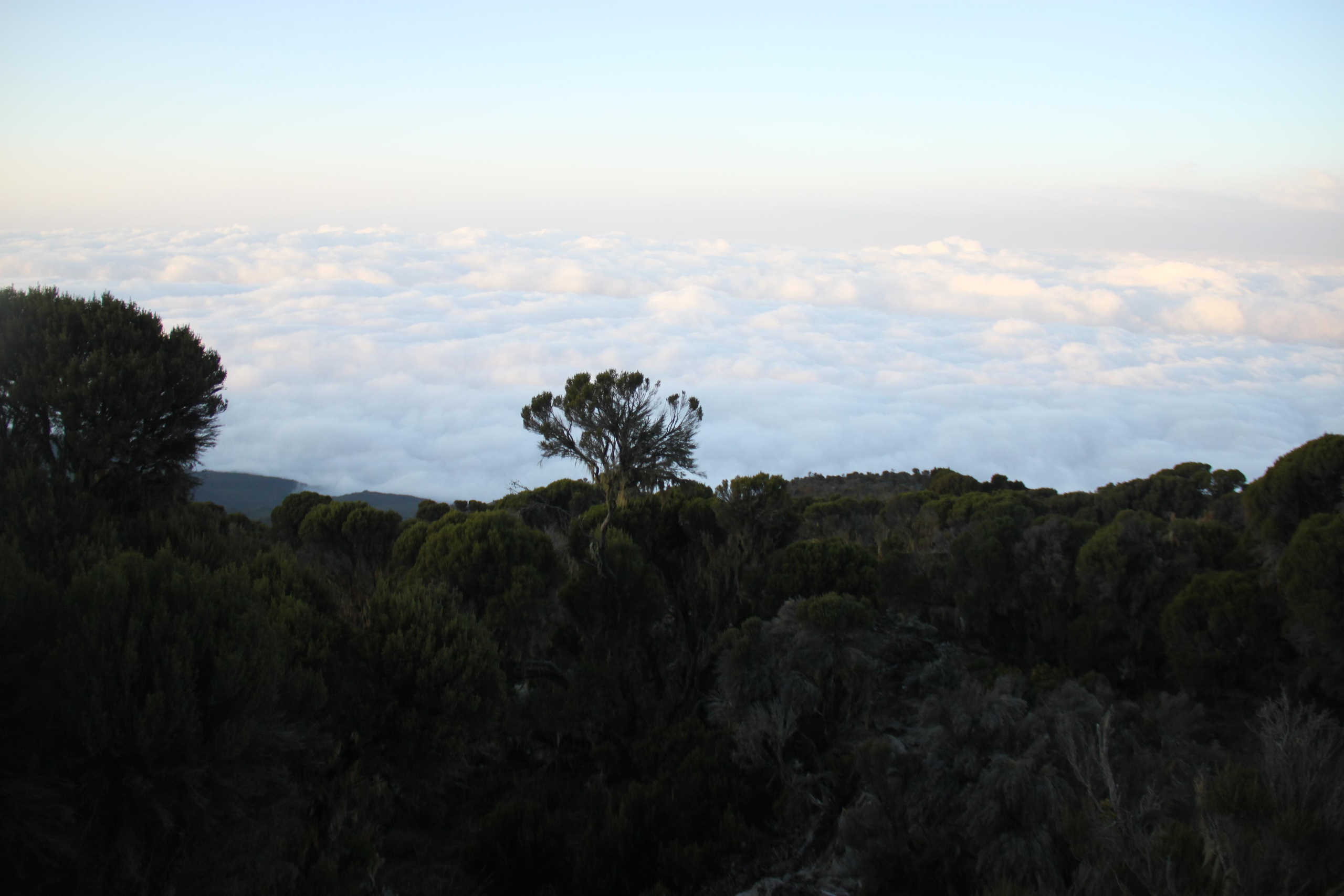 Mount Kilimanjaro. Andrey Filippov Photographer