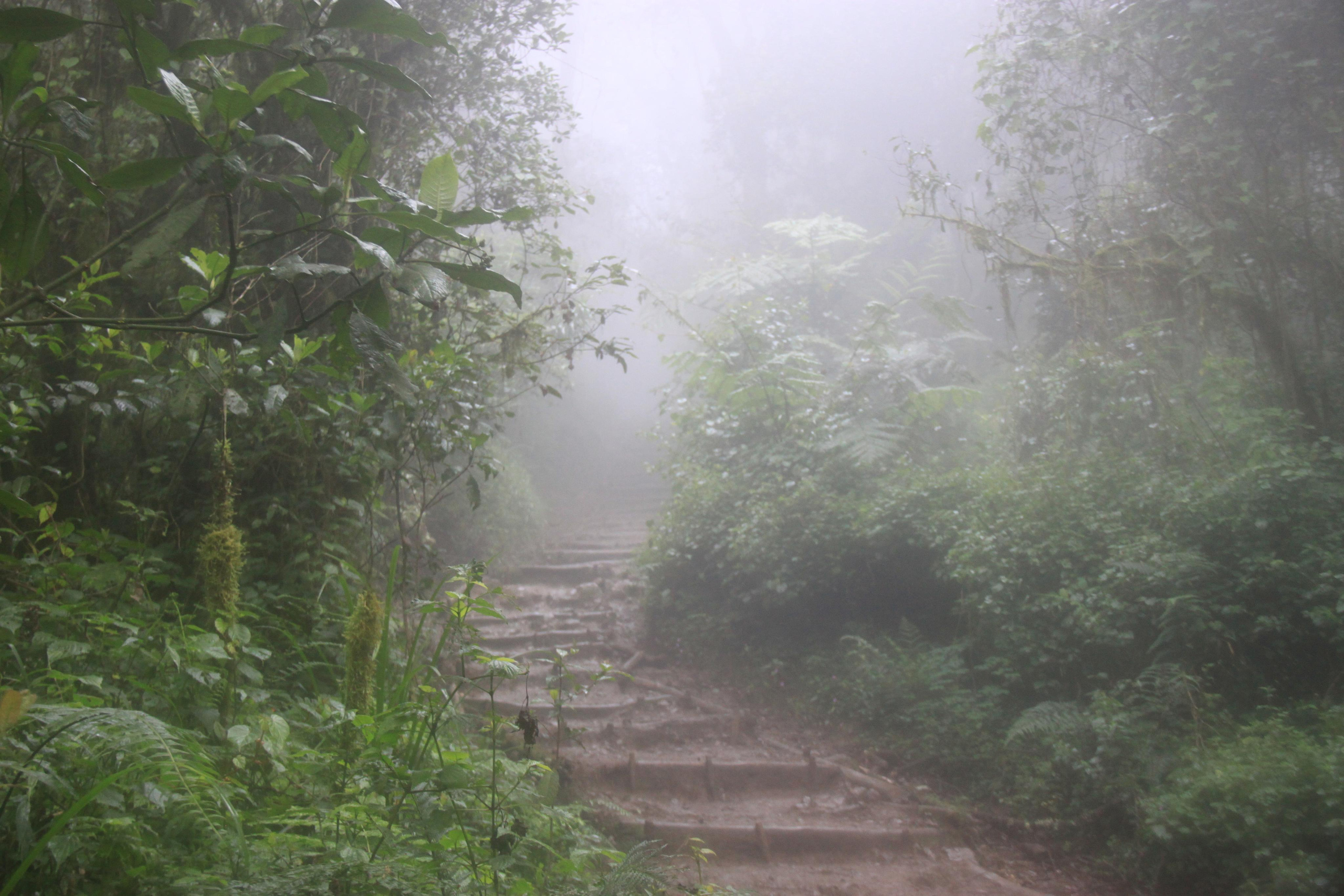 Mount Kilimanjaro. Andrey Filippov Photographer