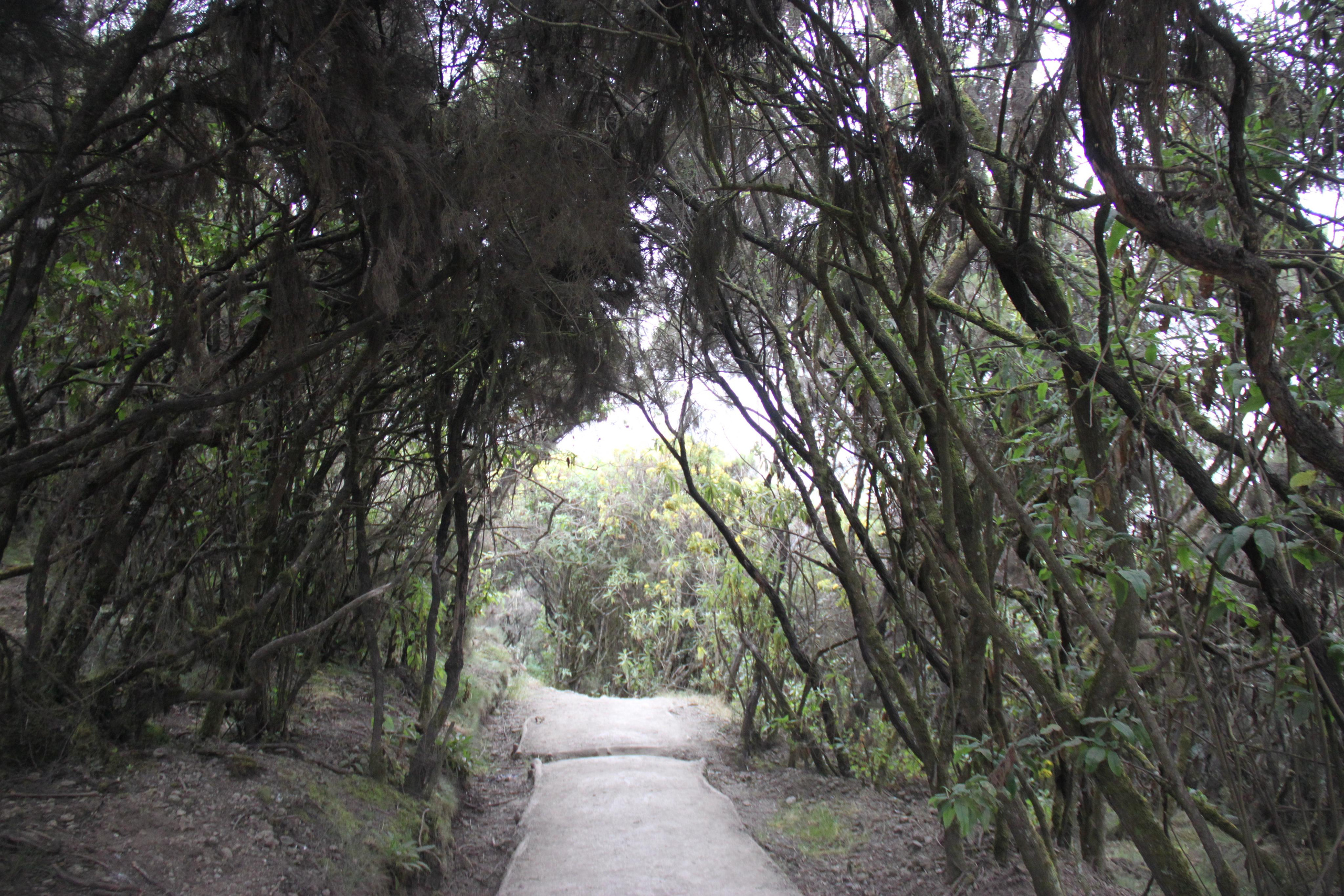 Mount Kilimanjaro. Andrey Filippov Photographer