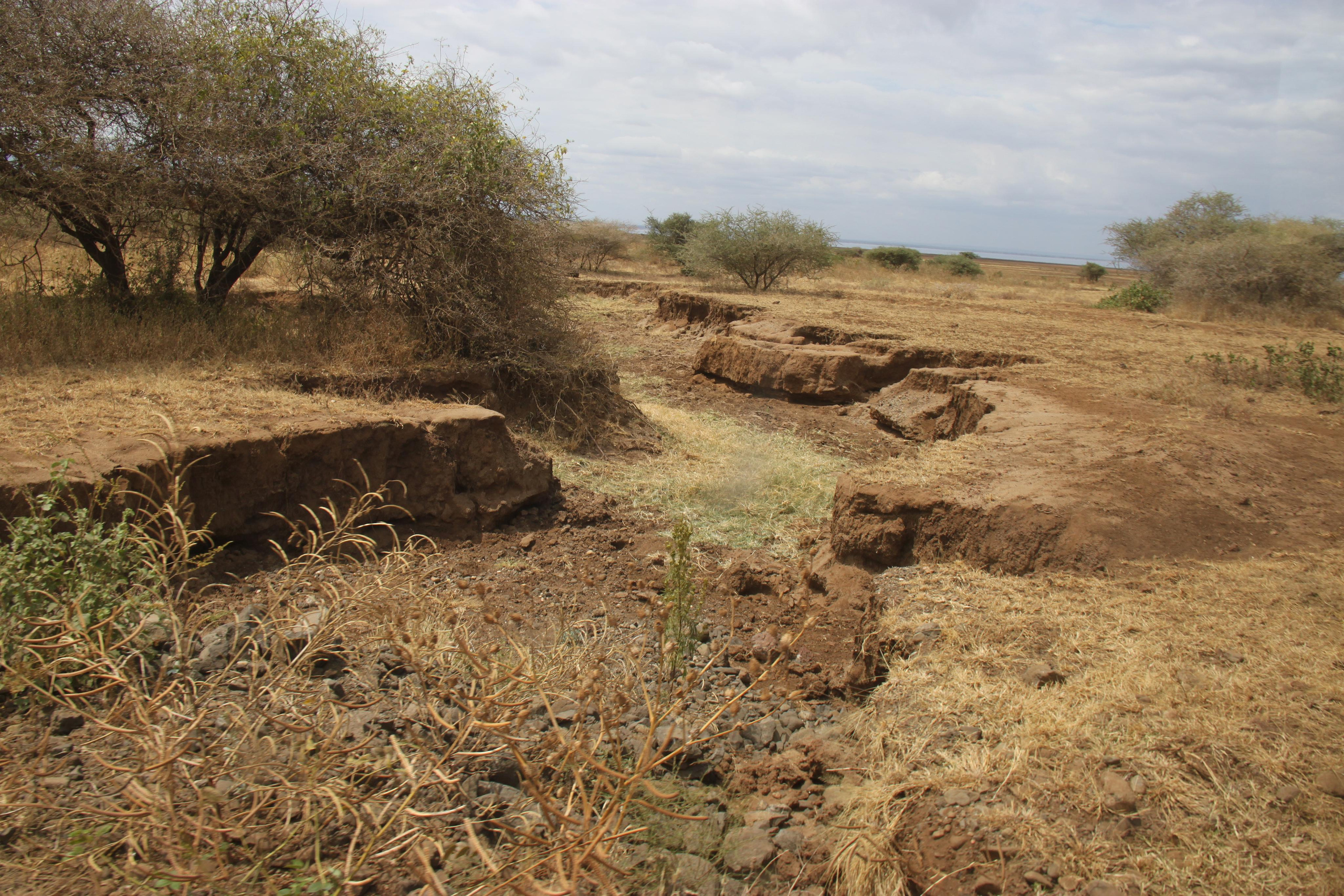 Lake Manyara National Park. Andrey Filippov Photographer