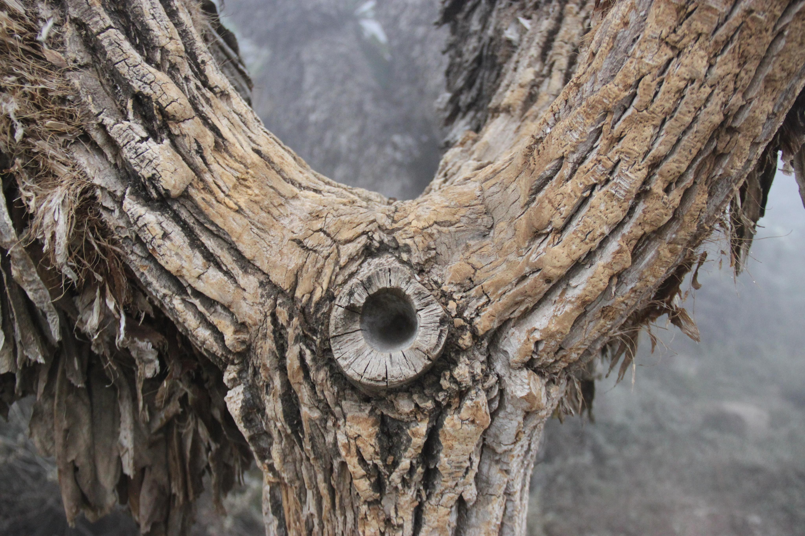 Mount Kilimanjaro. Andrey Filippov Photographer