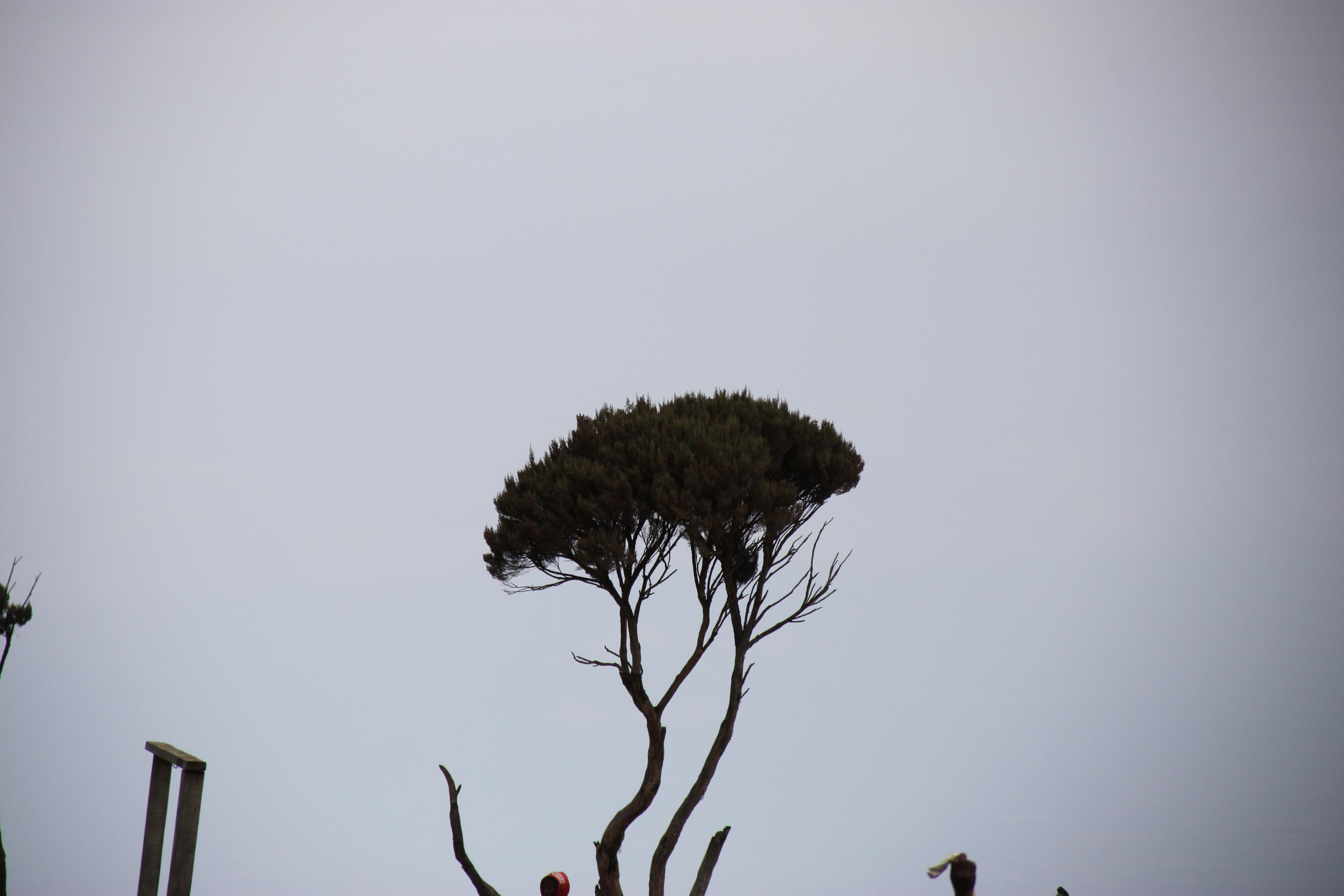 Mount Kilimanjaro. Andrey Filippov Photographer