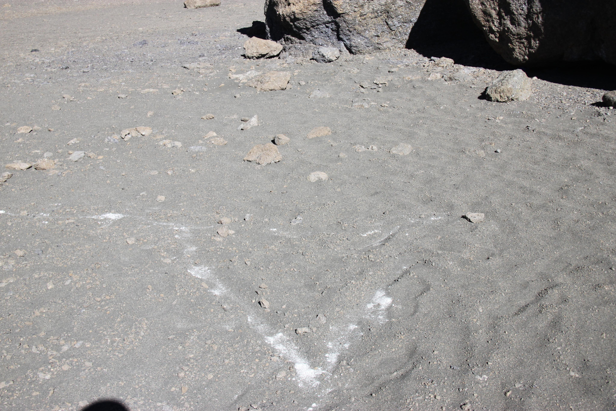 Mount Kilimanjaro. Andrey Filippov Photographer