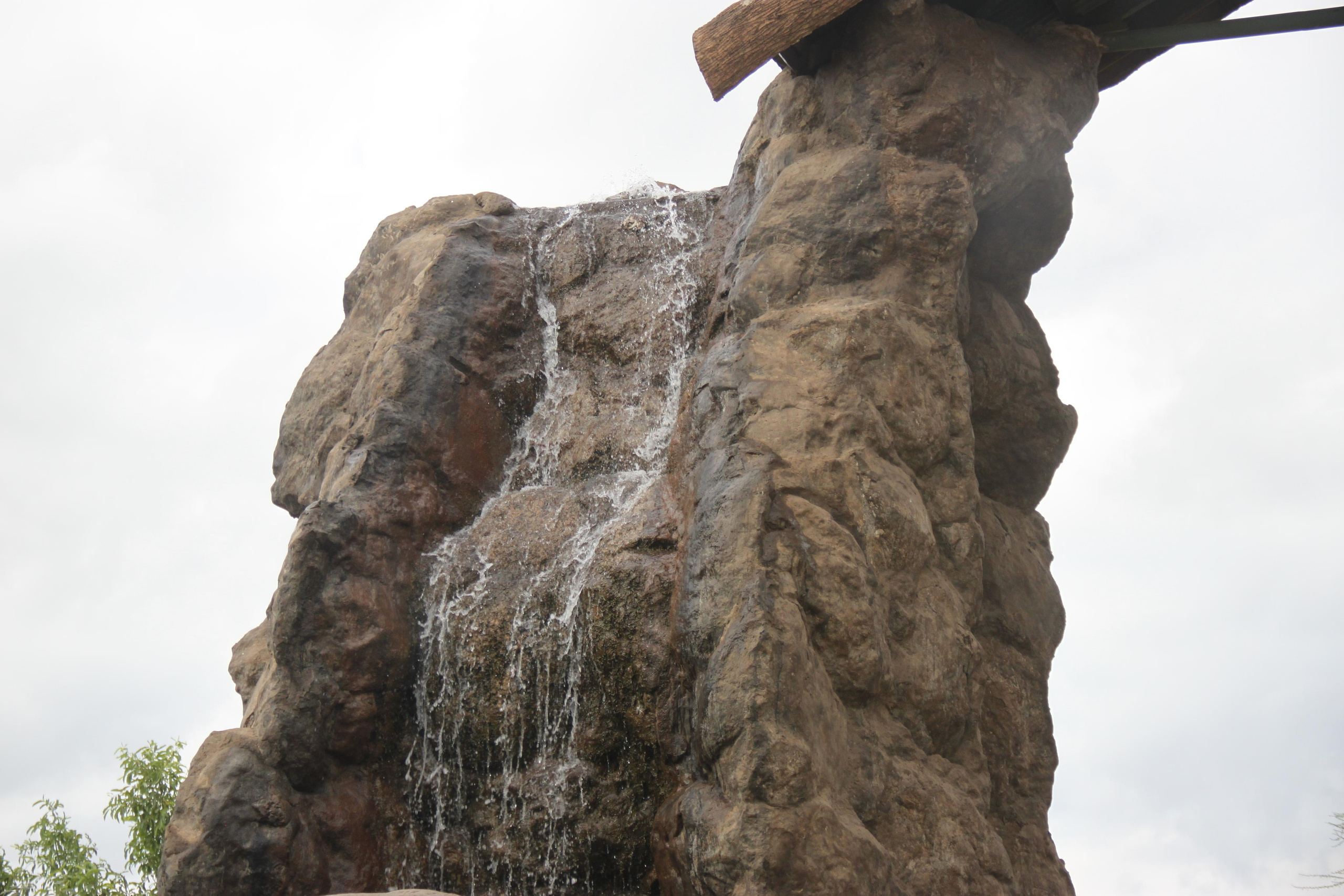 Lake Manyara National Park. Andrey Filippov Photographer
