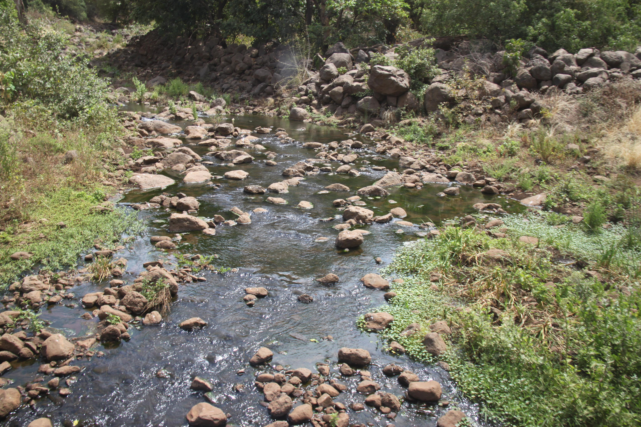 Lake Manyara National Park. Andrey Filippov Photographer