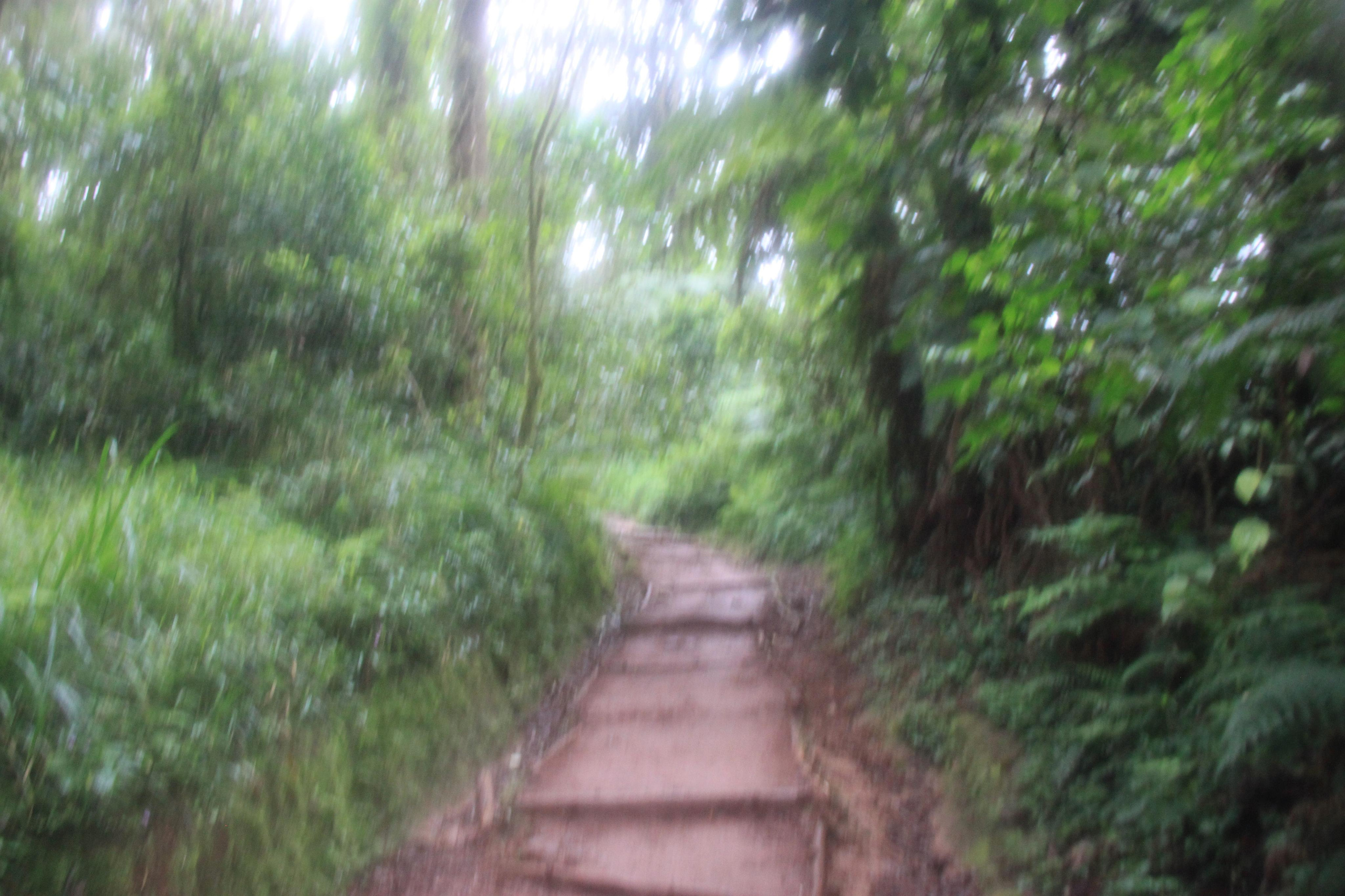 Mount Kilimanjaro. Andrey Filippov Photographer